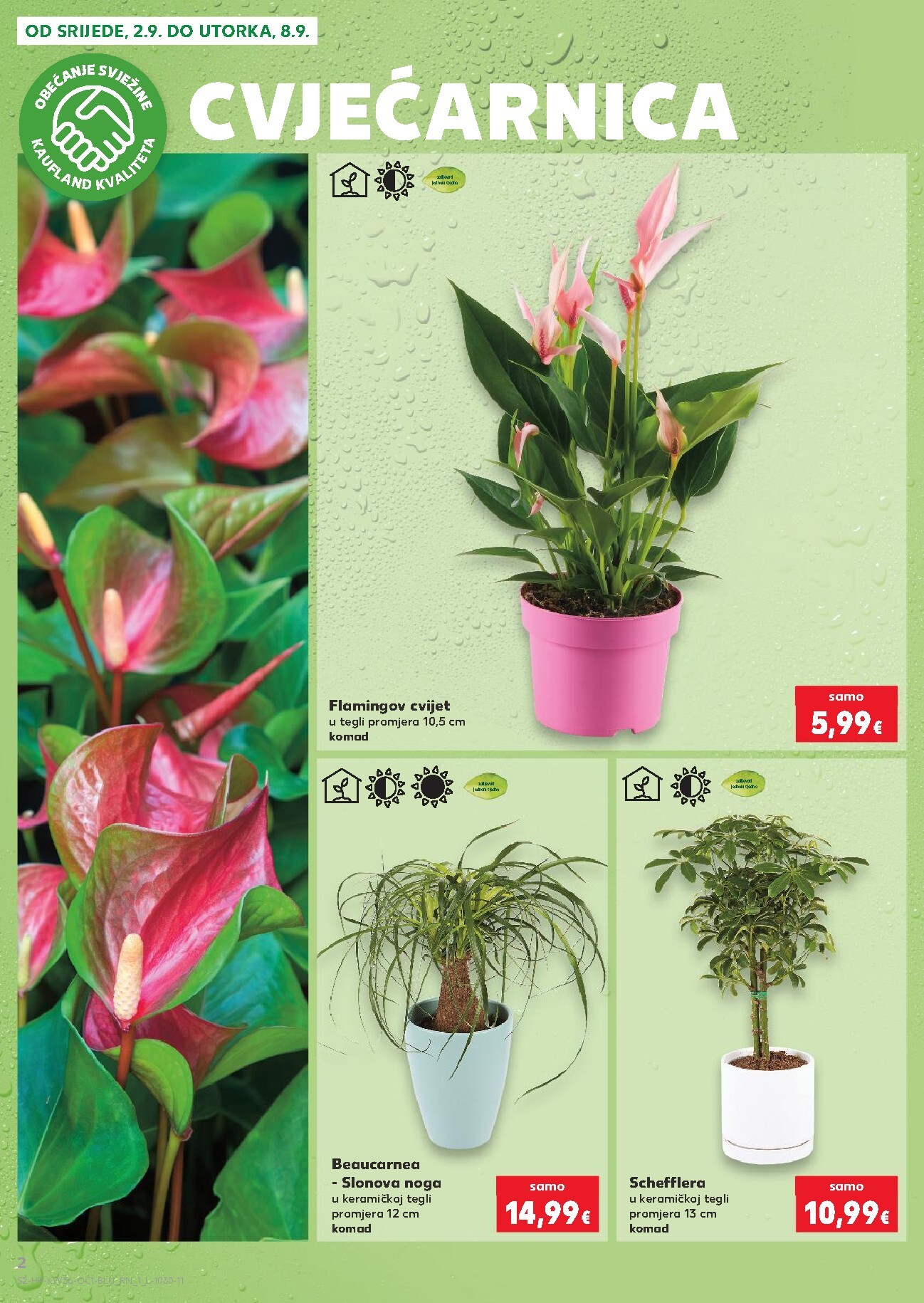 kaufland - Novi Kaufland - Ti si naš broj 1 katalog od srijede, 02.09.2026 do utorka, 08.09.2026 - page: 2