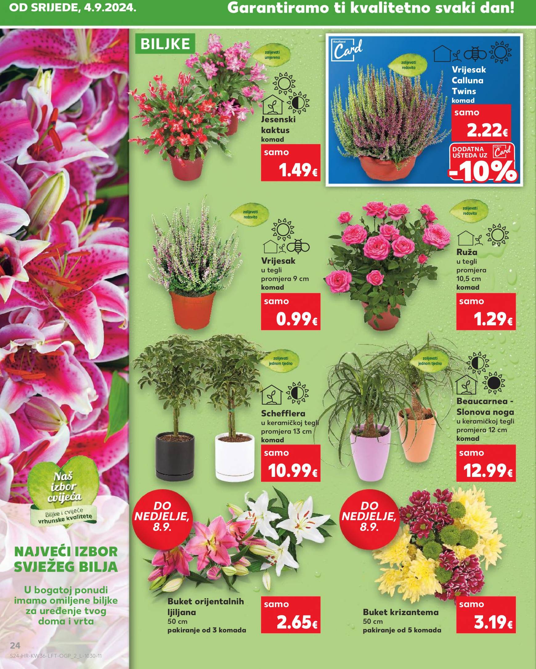 kaufland - Novi katalog Kaufland 04.09. - 10.09. - page: 24