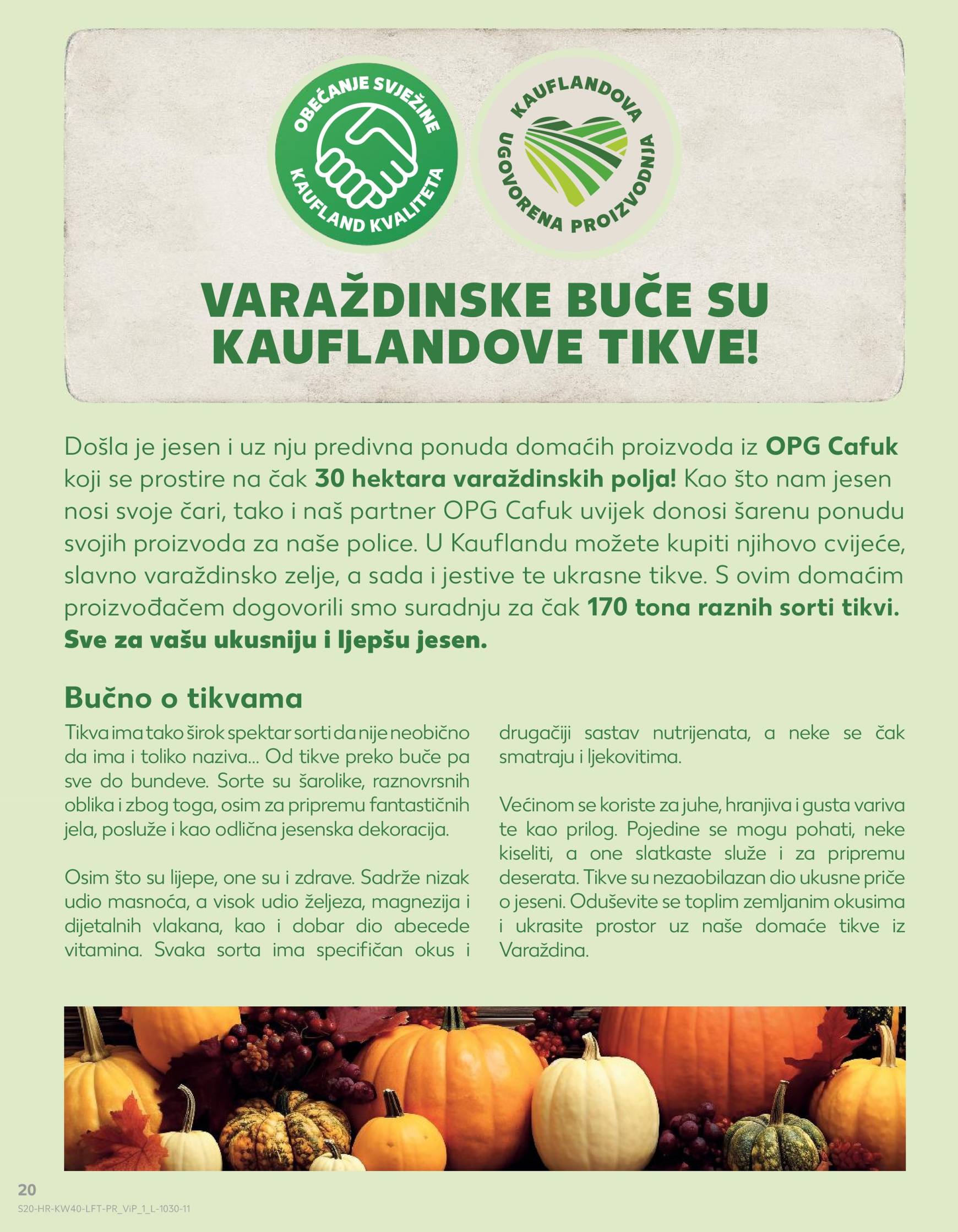 kaufland - Novi Kaufland katalog vrijedi od 02.10. do 08.10. - page: 20