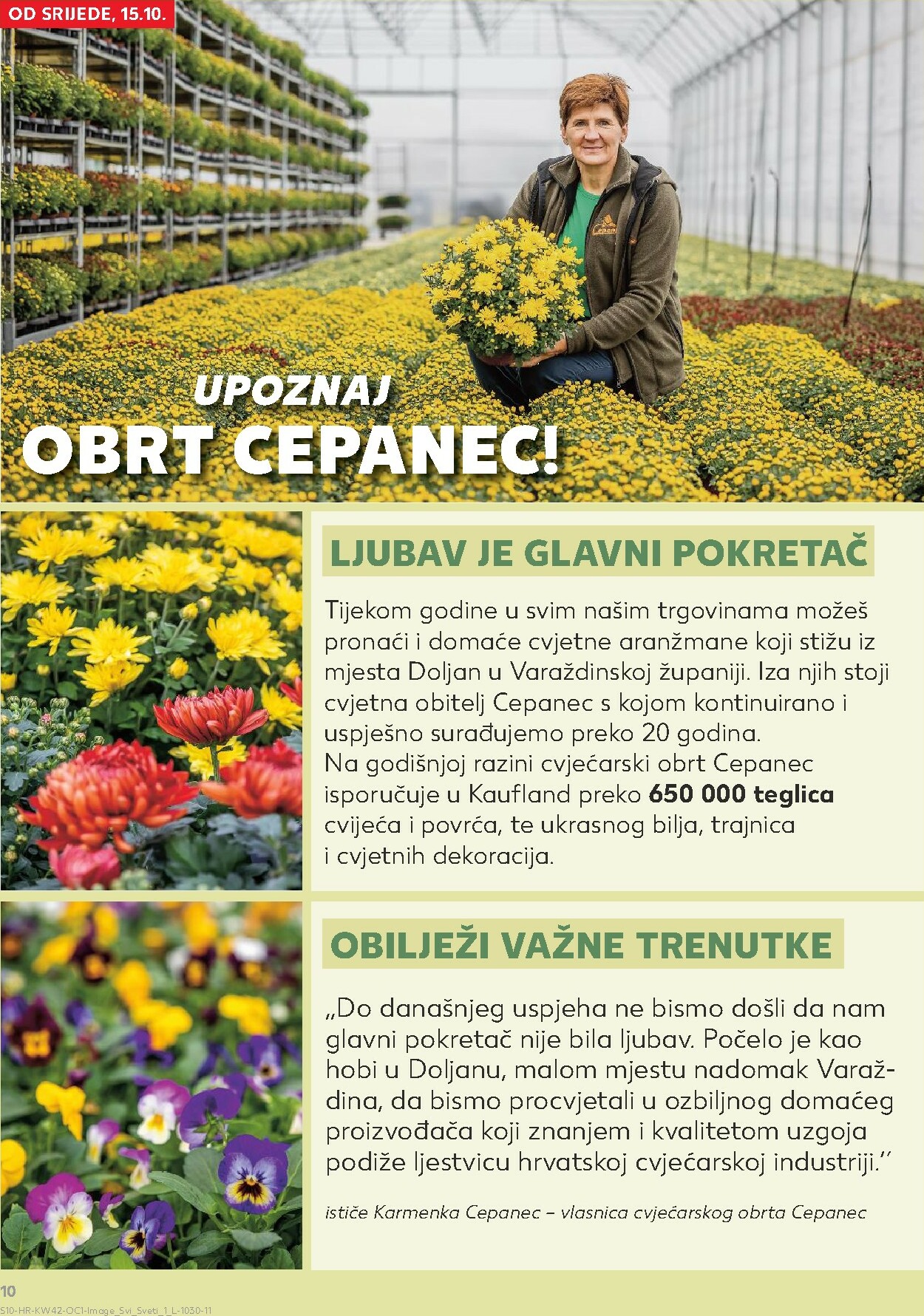 kaufland - Prelistajte katalog Kaufland - Želiš još bogatiju ponudu, vrijedi od 15.10. do 21.10. - page: 10
