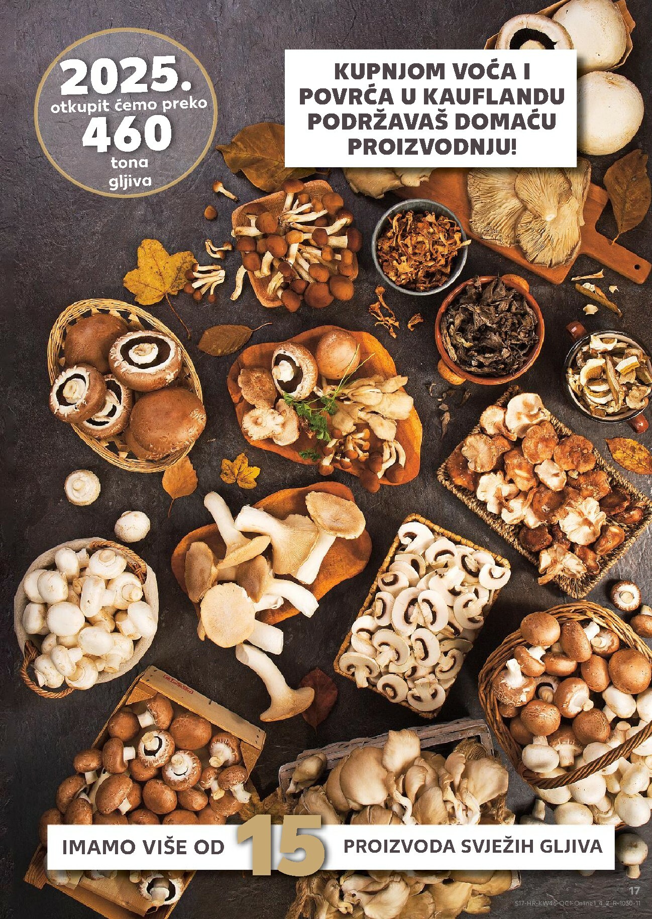 kaufland - Prelistajte katalog Kaufland - Osvoji karte, vrijedi od 12.11. do 17.11. - page: 17