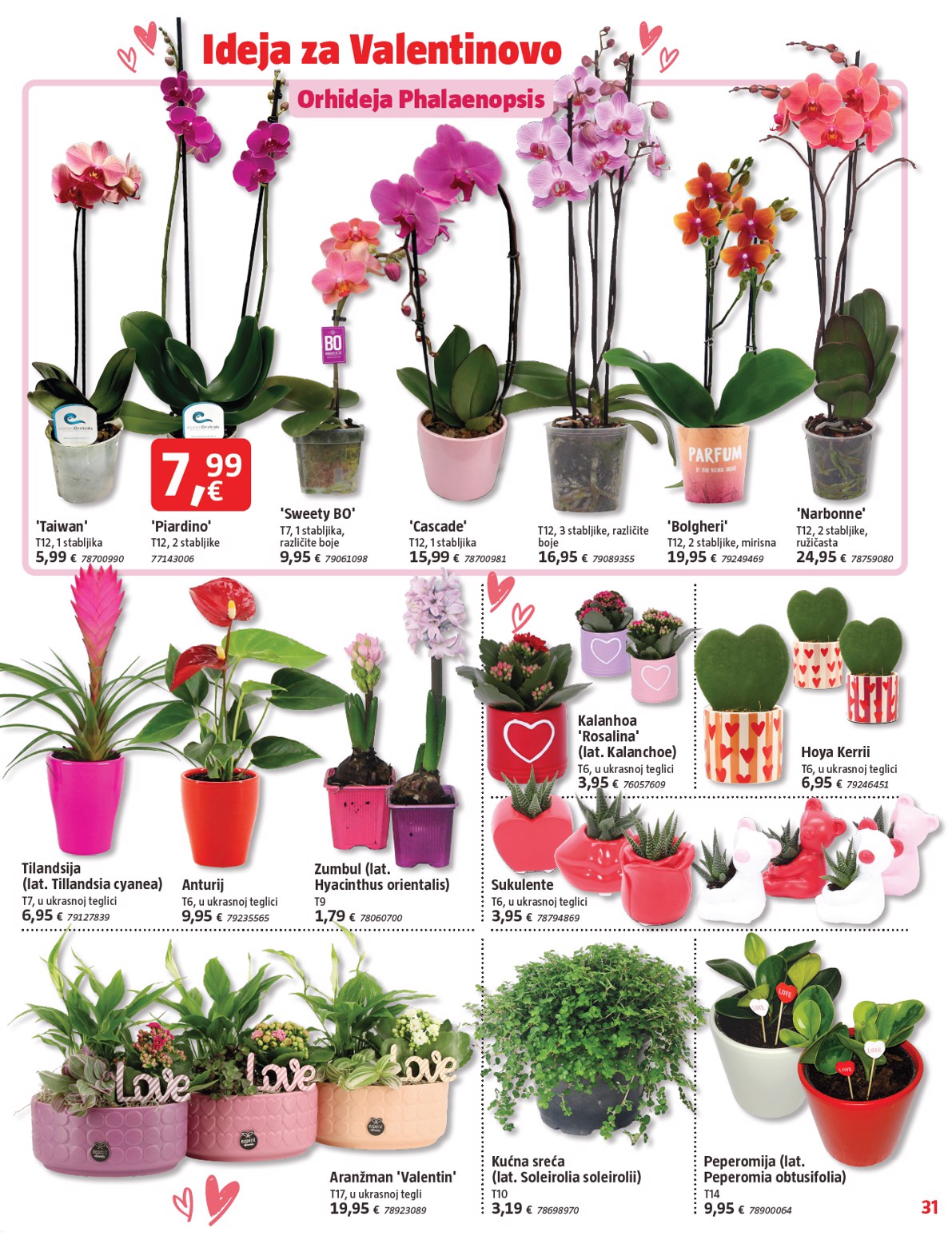 bauhaus - Prelistajte katalog BAUHAUS, vrijedi od 29.01. do 04.03. - page: 31