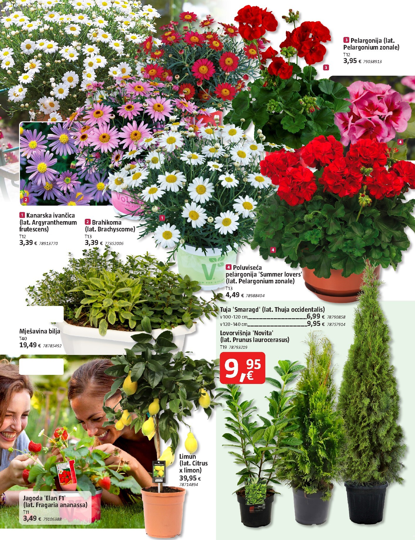 bauhaus - Prelistajte katalog BAUHAUS, vrijedi od 18.03.2026 do 31.03.2026 - page: 8