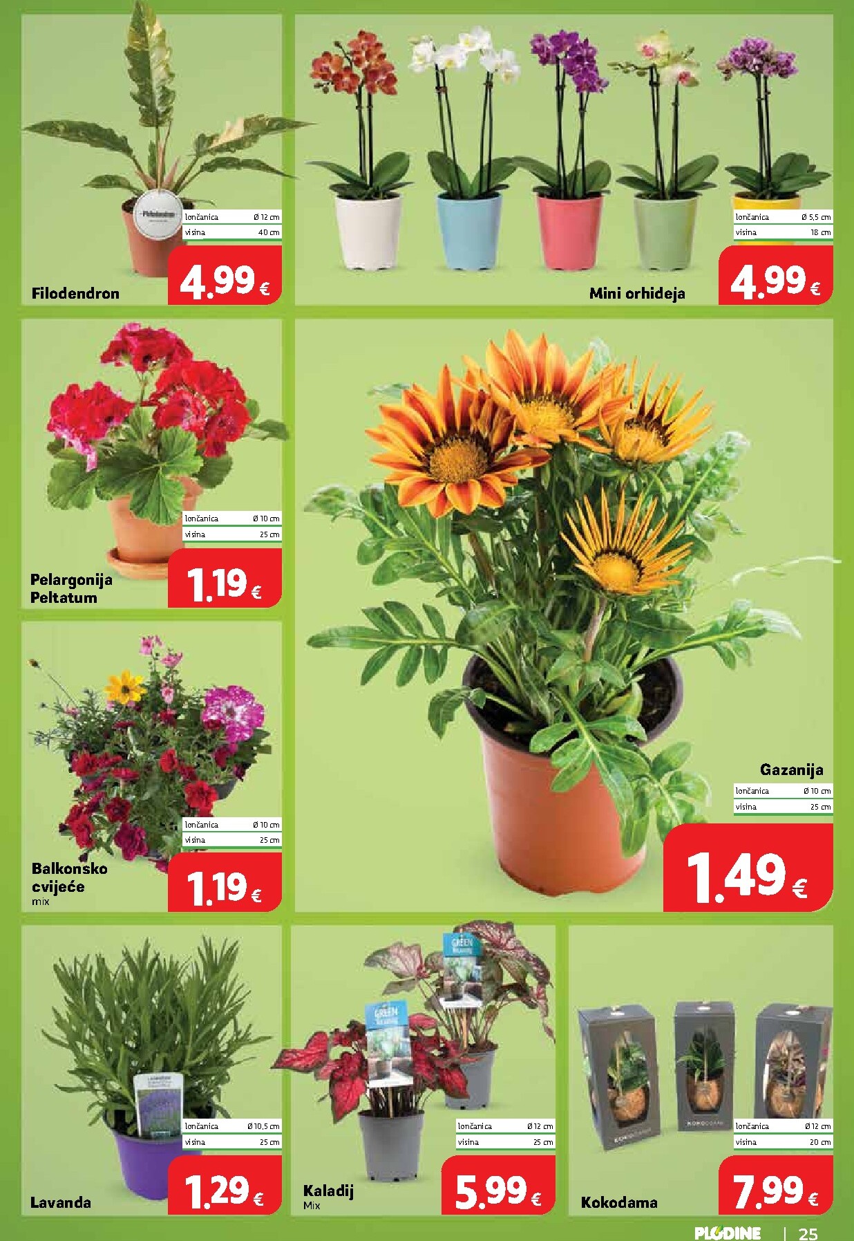 plodine - Novi Plodine katalog od srijede, 03.06.2026 do utorka, 09.06.2026 - page: 25