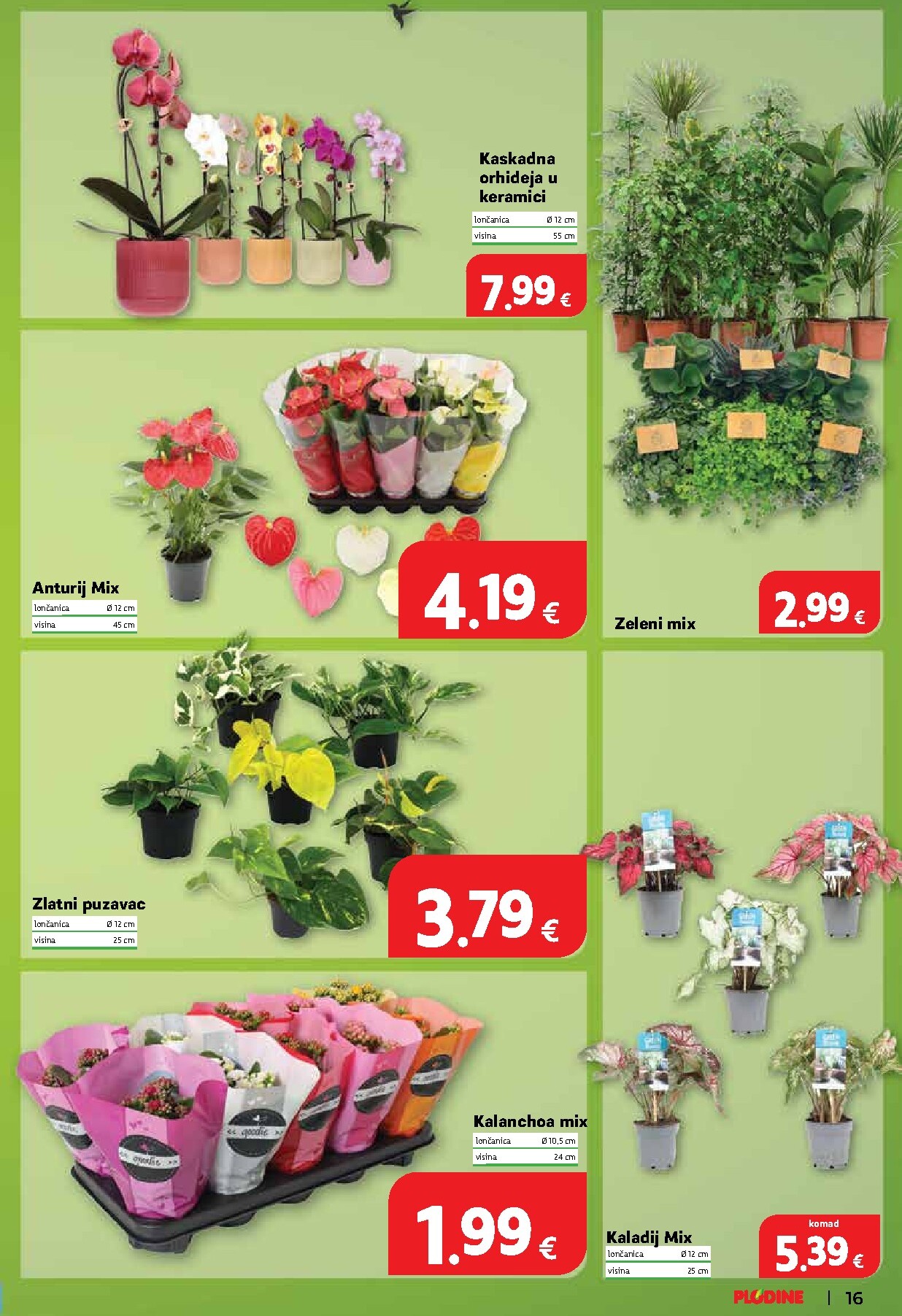plodine - Aktualni katalog Plodine od četvrtka, 06.08.2026 do utorka, 11.08.2026 - page: 17