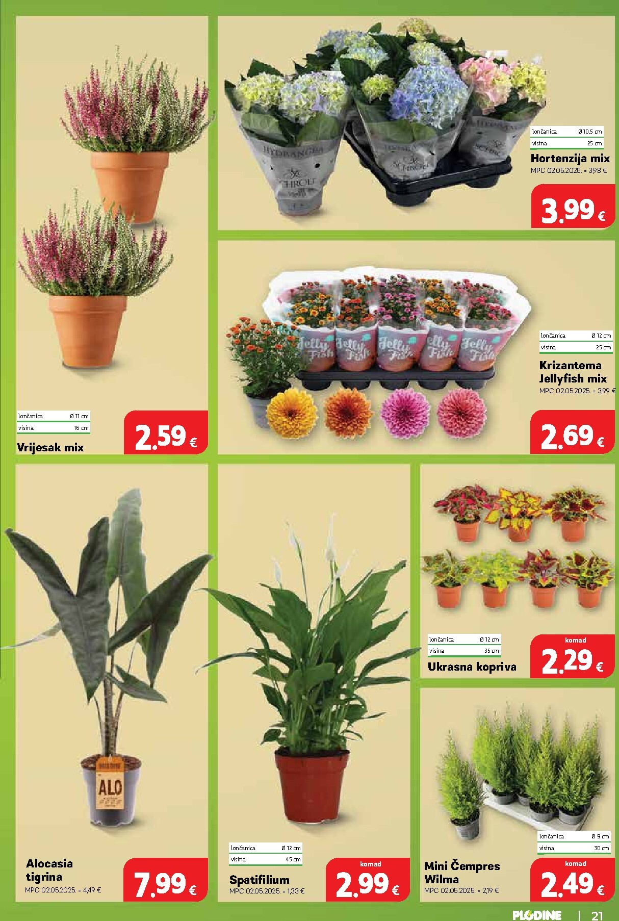 plodine - Novi Plodine katalog od srijede, 02.09.2026 do utorka, 08.09.2026 - page: 21
