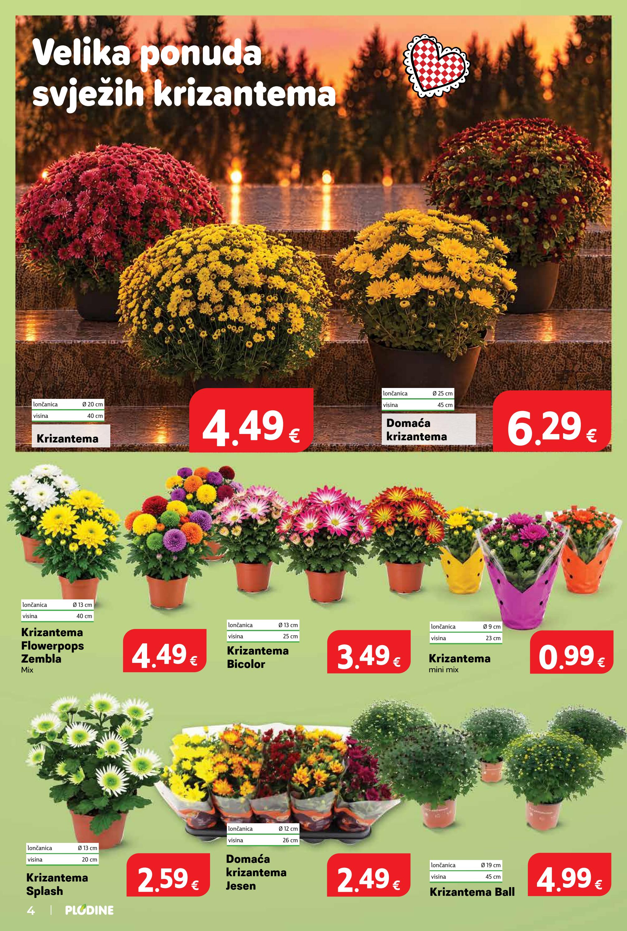 plodine - Novi Plodine katalog od srijede, 14.10.2026 do utorka, 20.10.2026 - page: 4