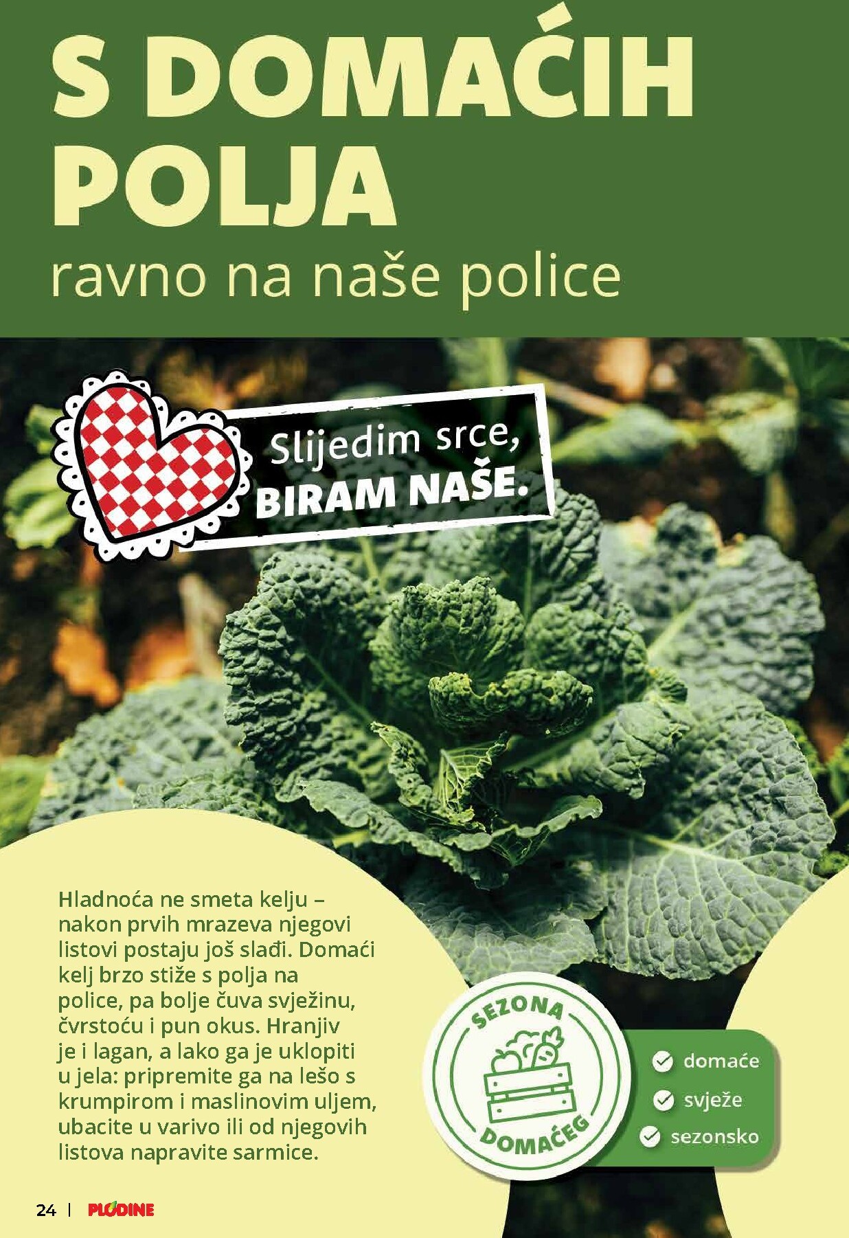 plodine - Novi Plodine katalog od srijede, 21.10.2026 do utorka, 27.10.2026 - page: 24