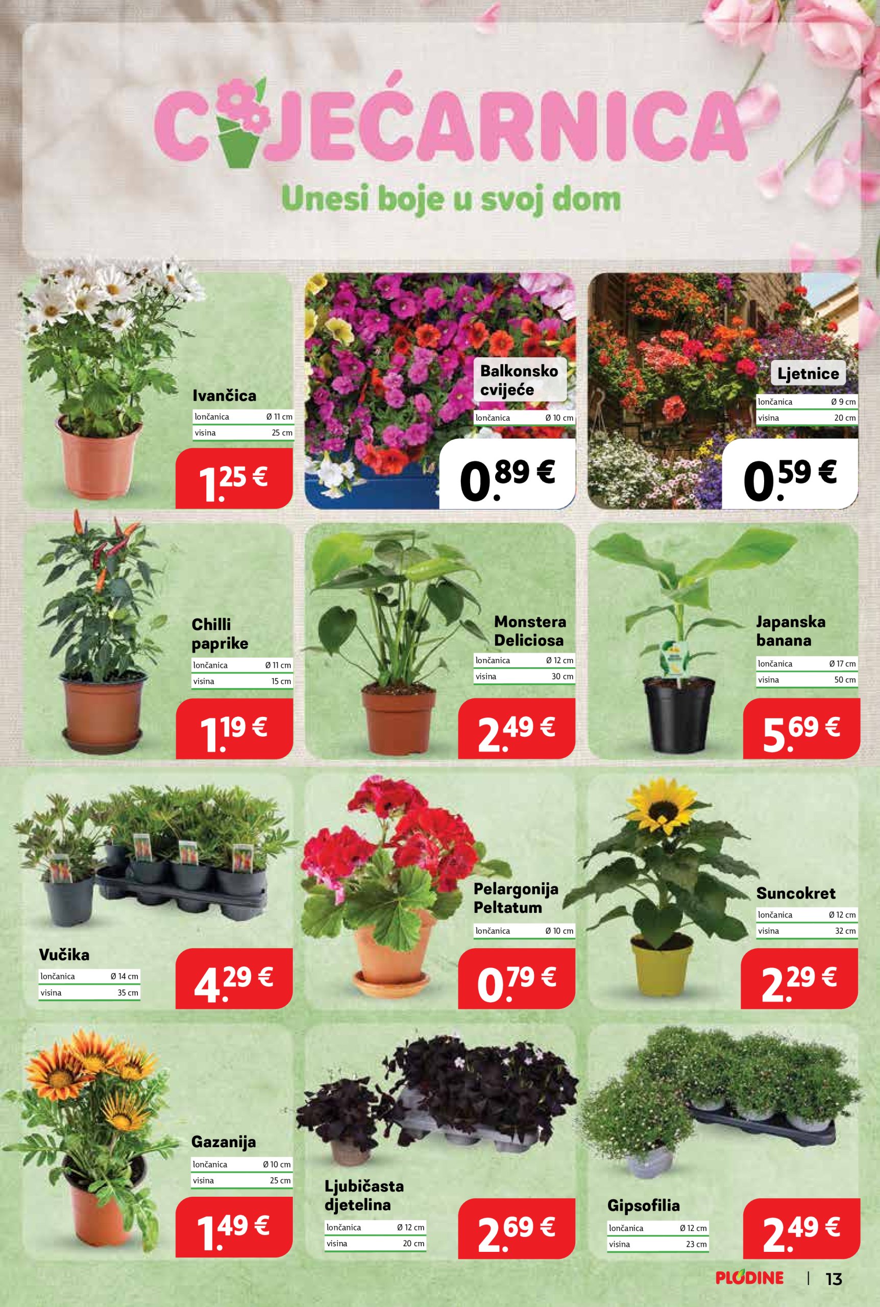 plodine - Prelistajte ovaj Plodine katalog, vrijedi od 14.05. do 20.05. - page: 13 plodine - Prelistajte ovaj Plodine katalog, vrijedi od 14.05. do 20.05. - page: 13