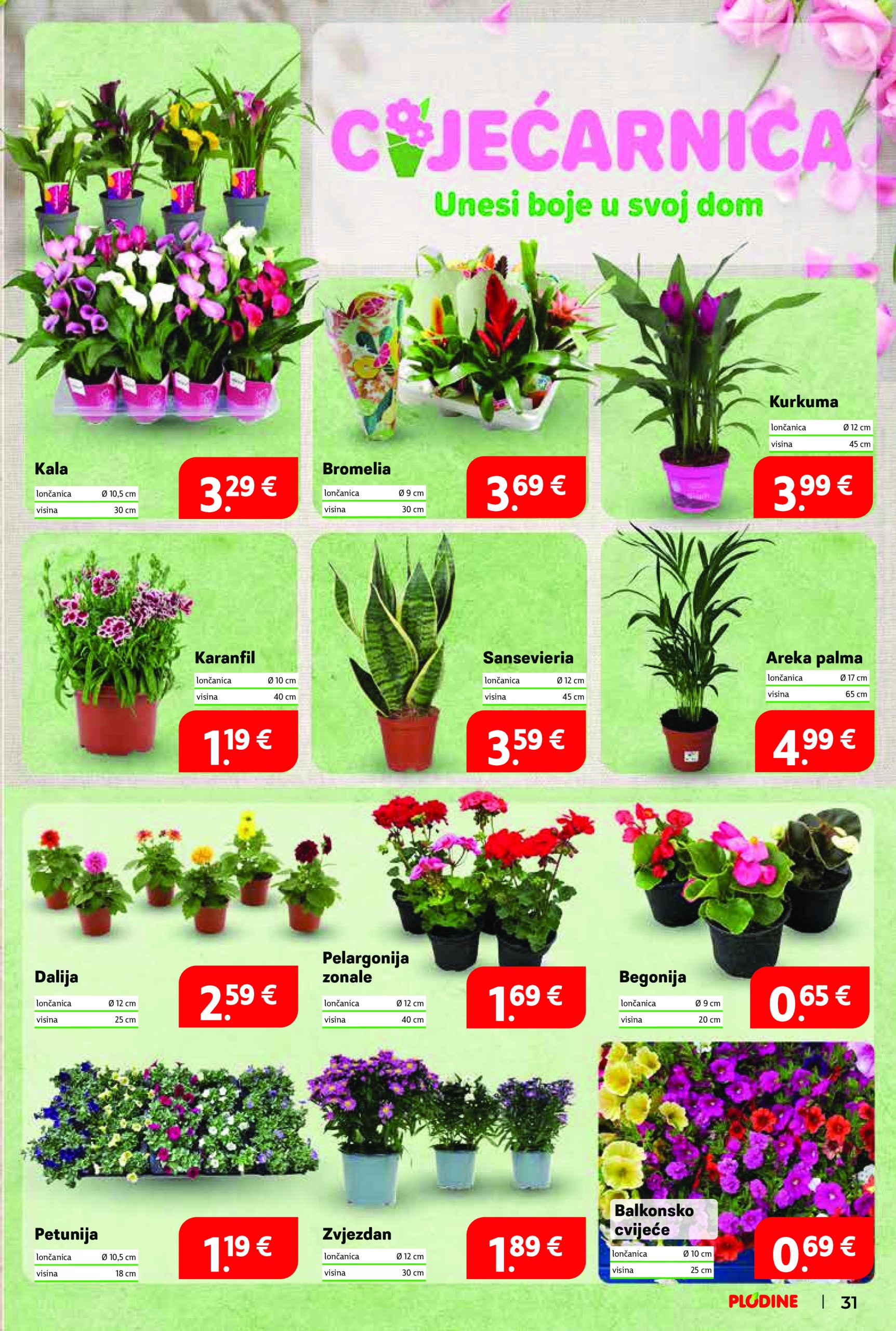 plodine - Prelistajte ovaj Plodine - Otvorenje Vis katalog, vrijedi od 28.05. do 03.06. - page: 31 plodine - Prelistajte ovaj Plodine - Otvorenje Vis katalog, vrijedi od 28.05. do 03.06. - page: 31