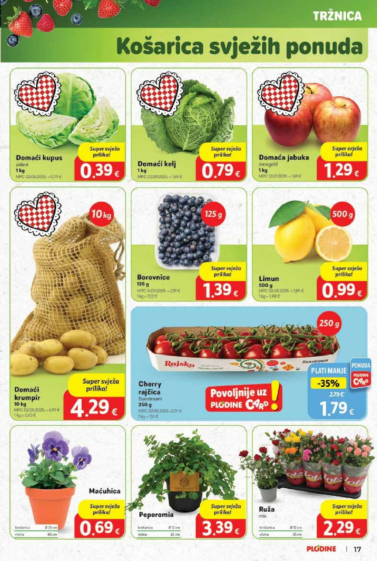 plodine - Prelistajte katalog Plodine, vrijedi od 01.10. do 07.10. - page: 17