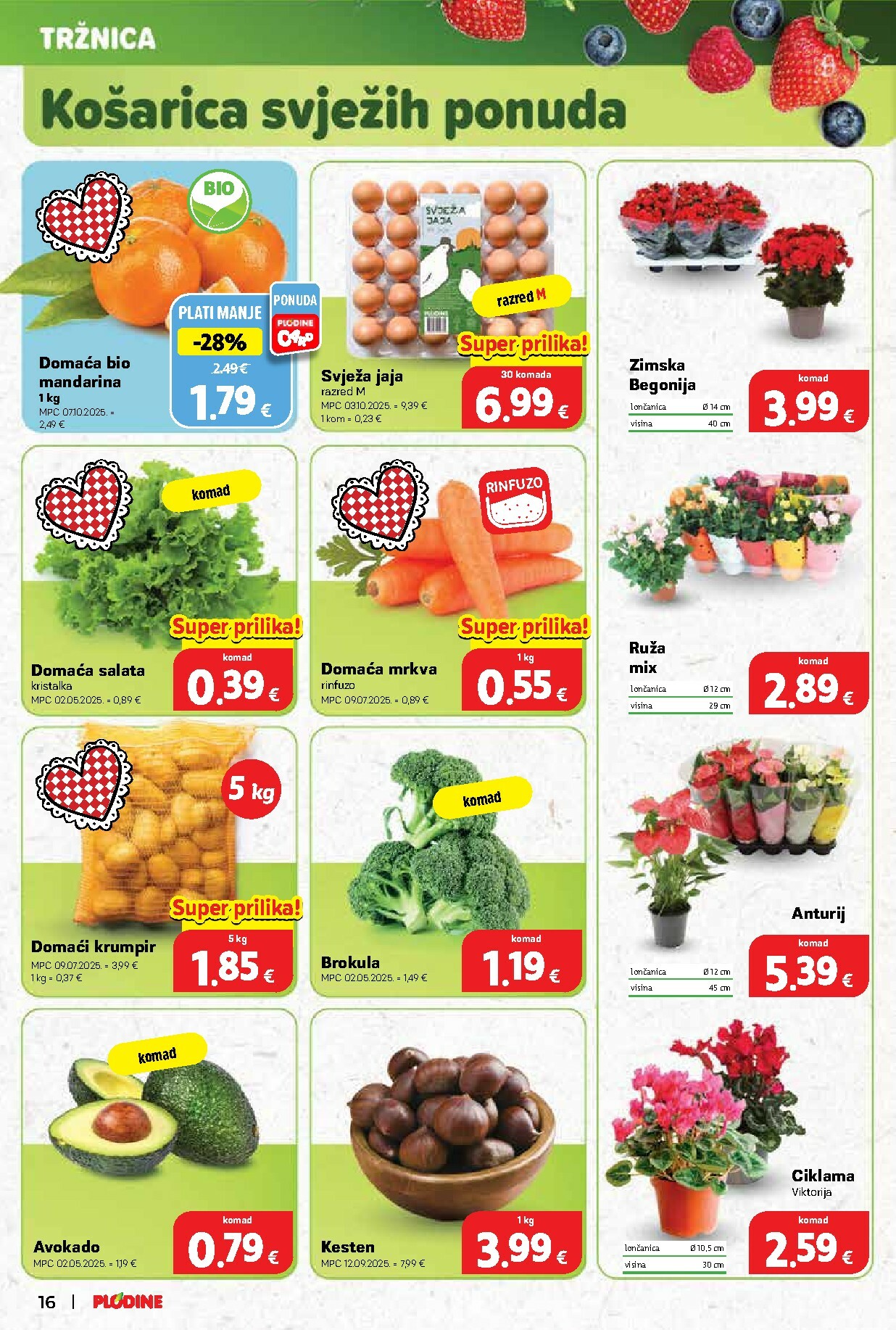 plodine - Prelistajte katalog Plodine, vrijedi od 29.10. do 04.11. - page: 16 plodine - Prelistajte katalog Plodine, vrijedi od 29.10. do 04.11. - page: 16