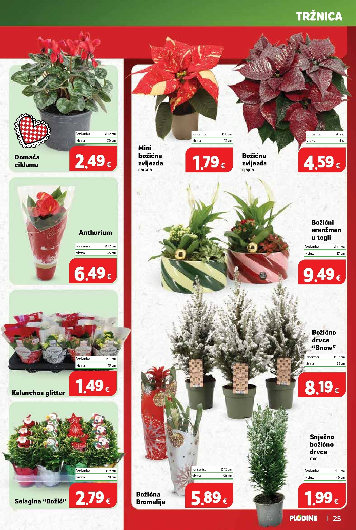 plodine - Prelistajte katalog Plodine, vrijedi od 10.12. do 16.12. - page: 25