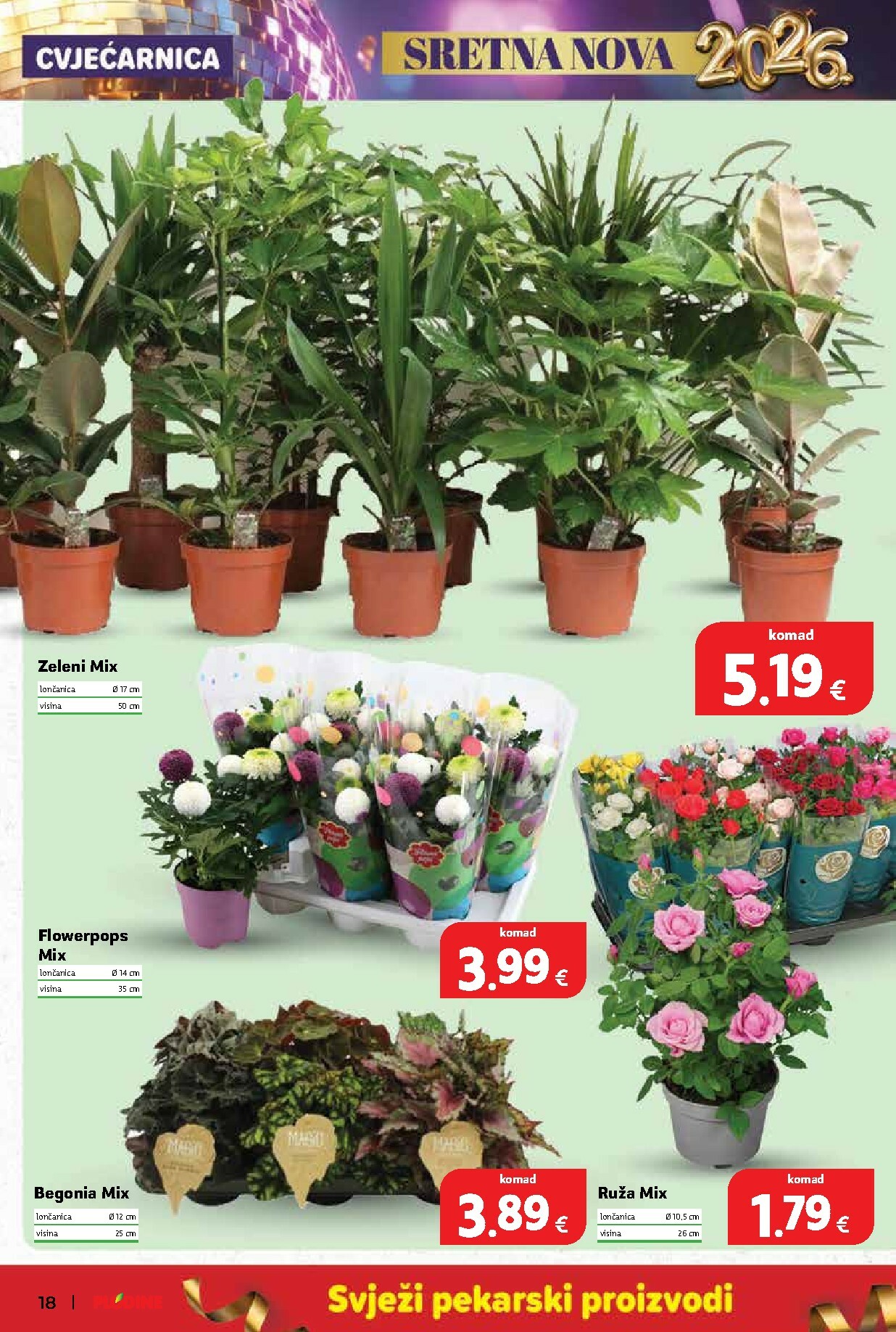 plodine - Prelistajte katalog Plodine, vrijedi od 27.01. do 31.12. - page: 18