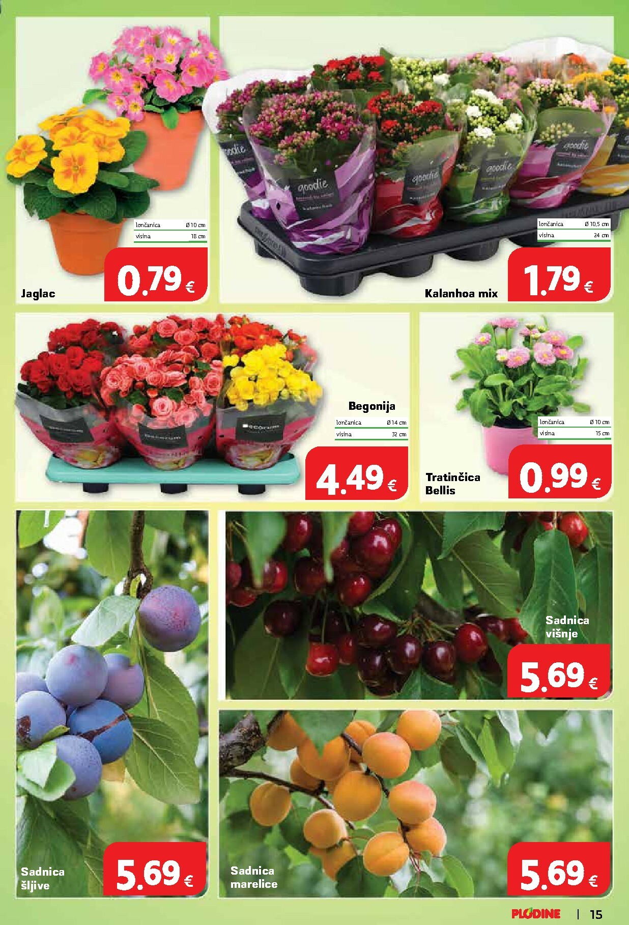 plodine - Prelistajte katalog Plodine, vrijedi od 04.02.2026 do 10.02.2026 - page: 15