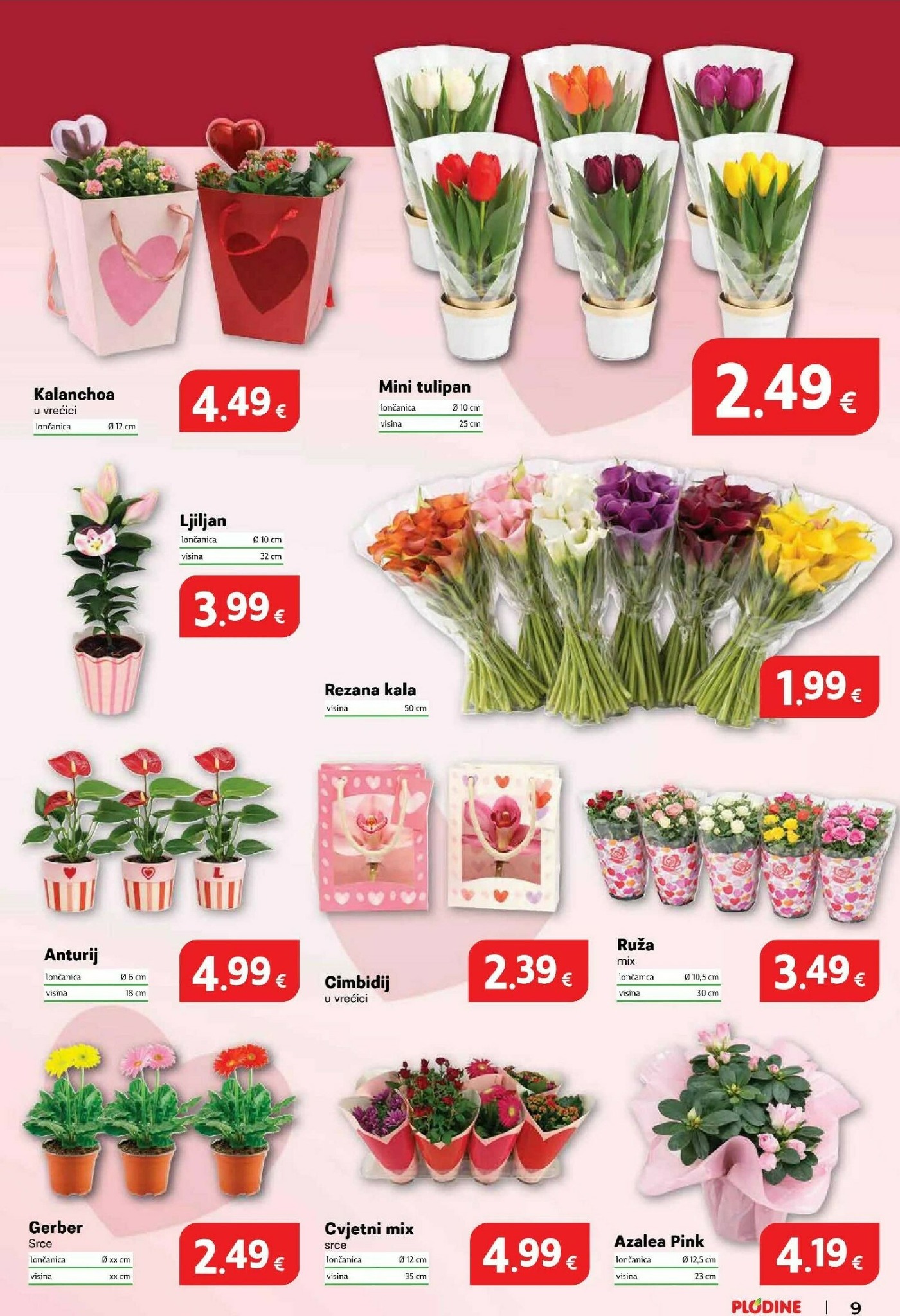 plodine - Prelistajte katalog Plodine, vrijedi od 11.02.2026 do 17.02.2026 - page: 9