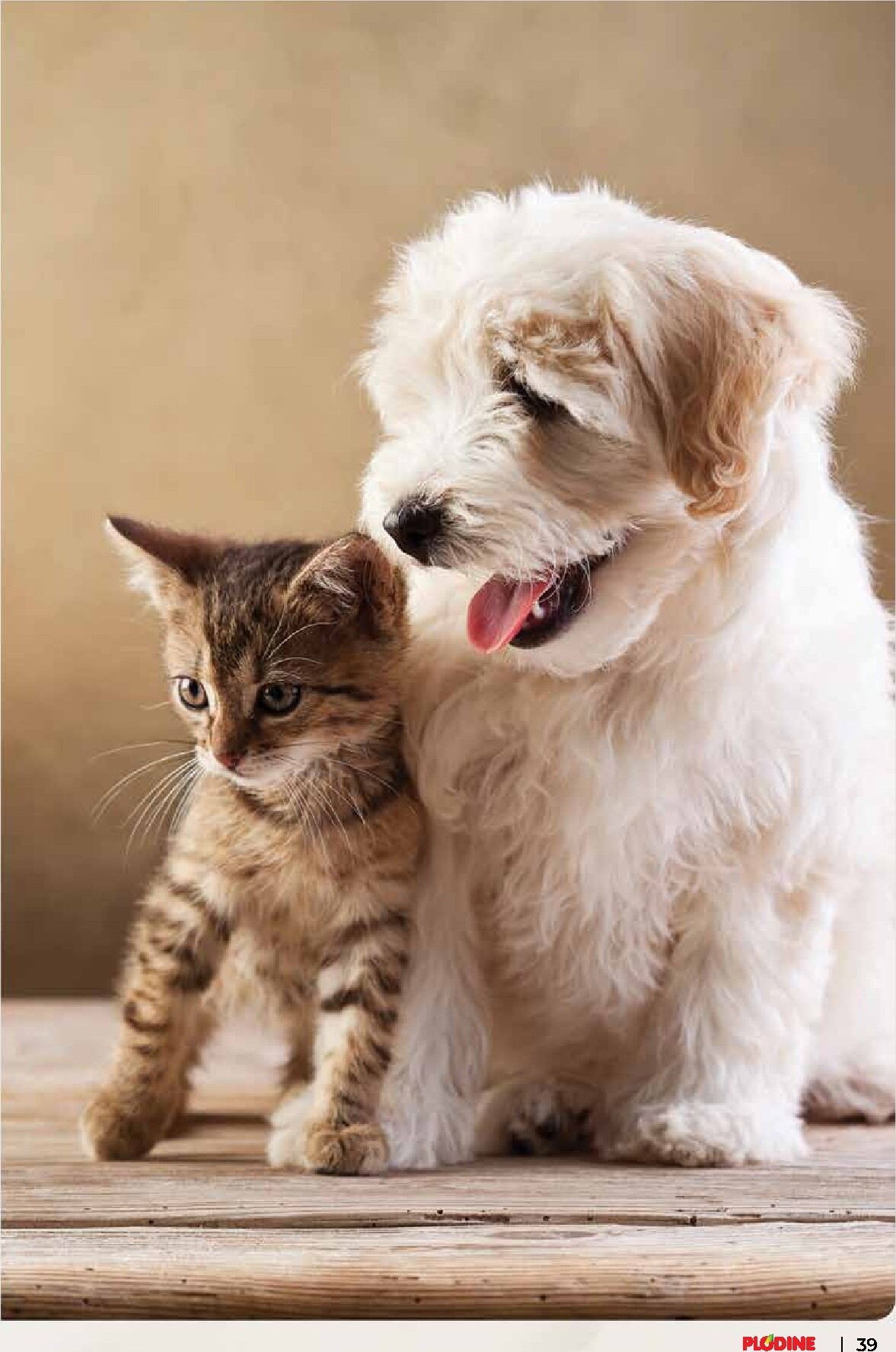 plodine - Prelistajte katalog Plodine, vrijedi od 04.03.2026 do 10.03.2026 - page: 39