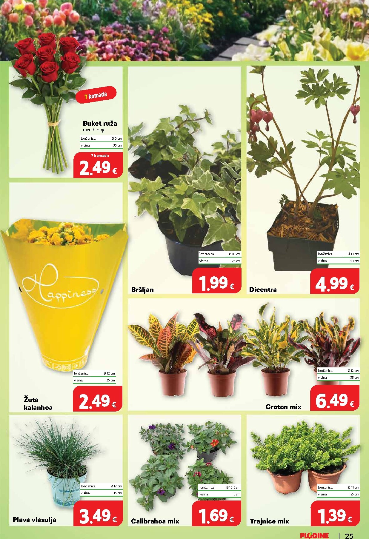 plodine - Prelistajte katalog Plodine, vrijedi od 01.04.2026 do 07.04.2026 - page: 33