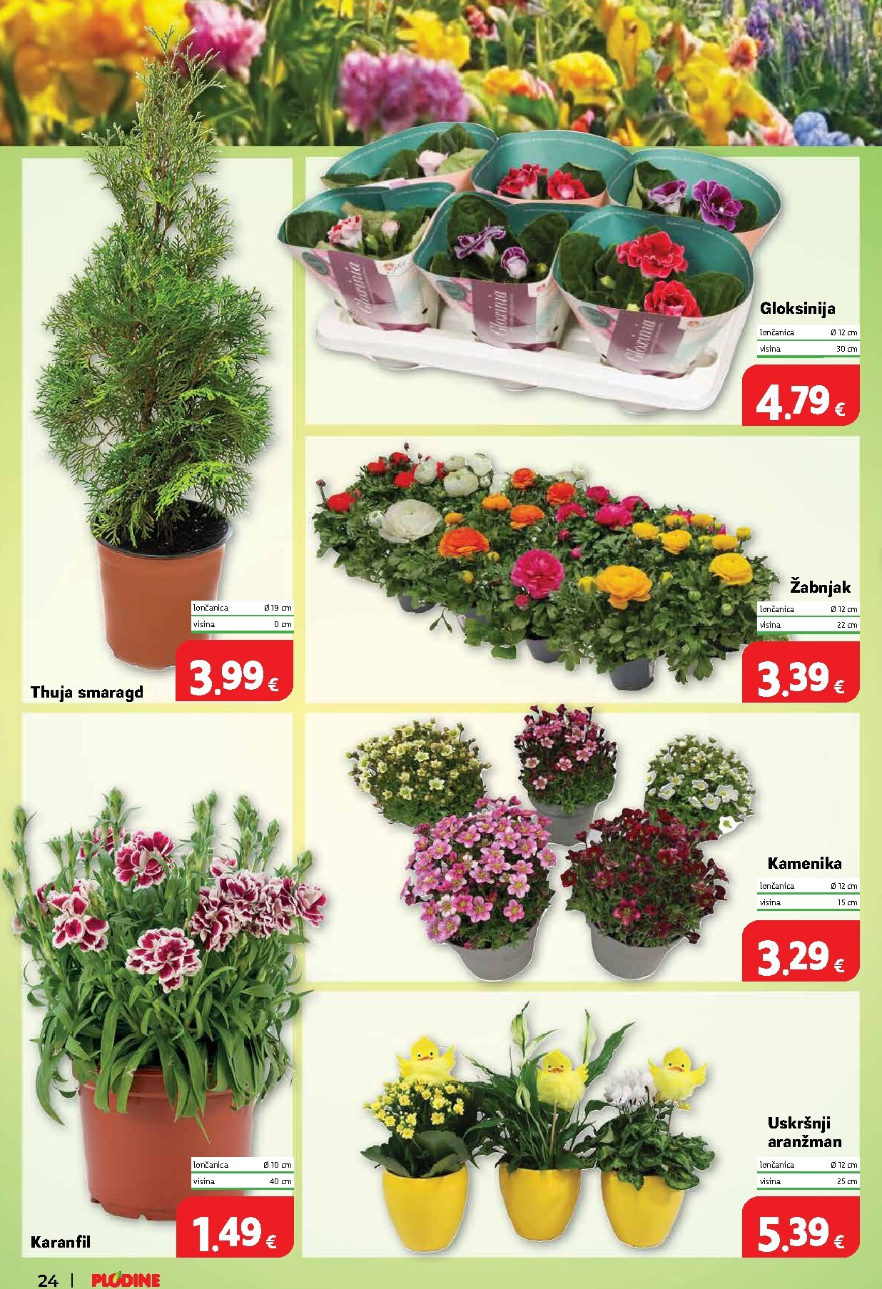 plodine - Prelistajte katalog Plodine, vrijedi od 01.04.2026 do 07.04.2026 - page: 32