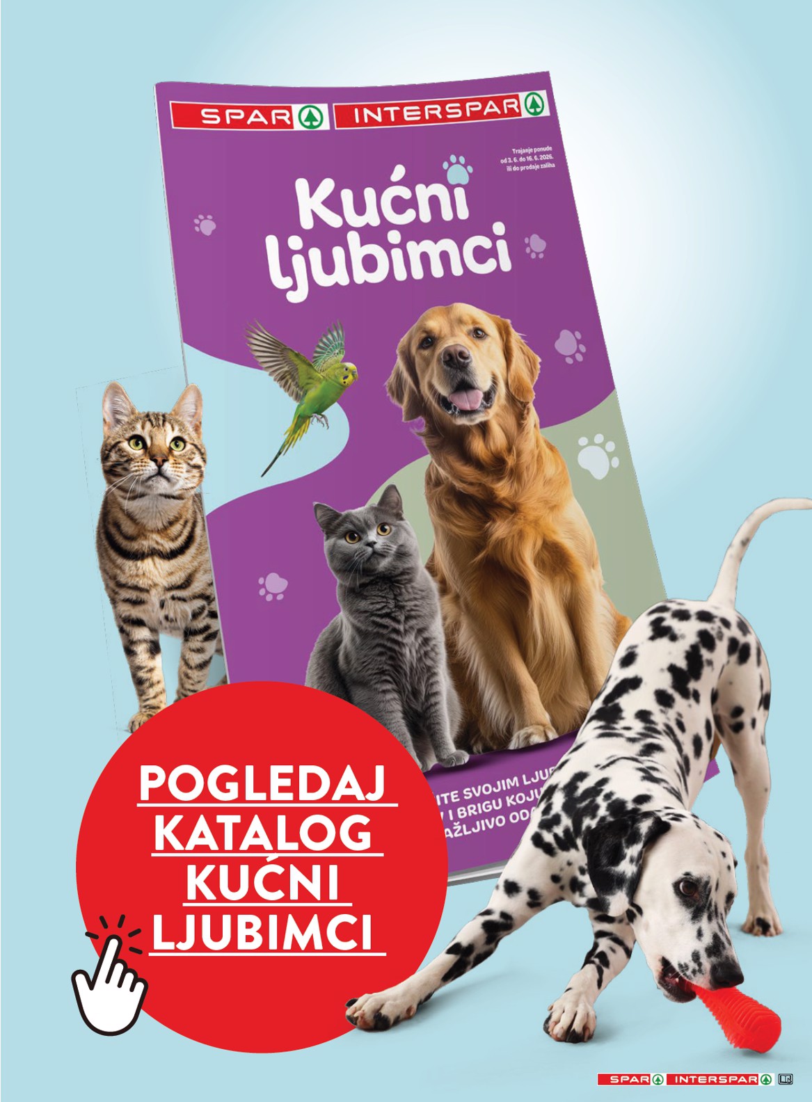 spar - Novi SPAR katalog od srijede, 10.06.2026 do utorka, 16.06.2026 - page: 39