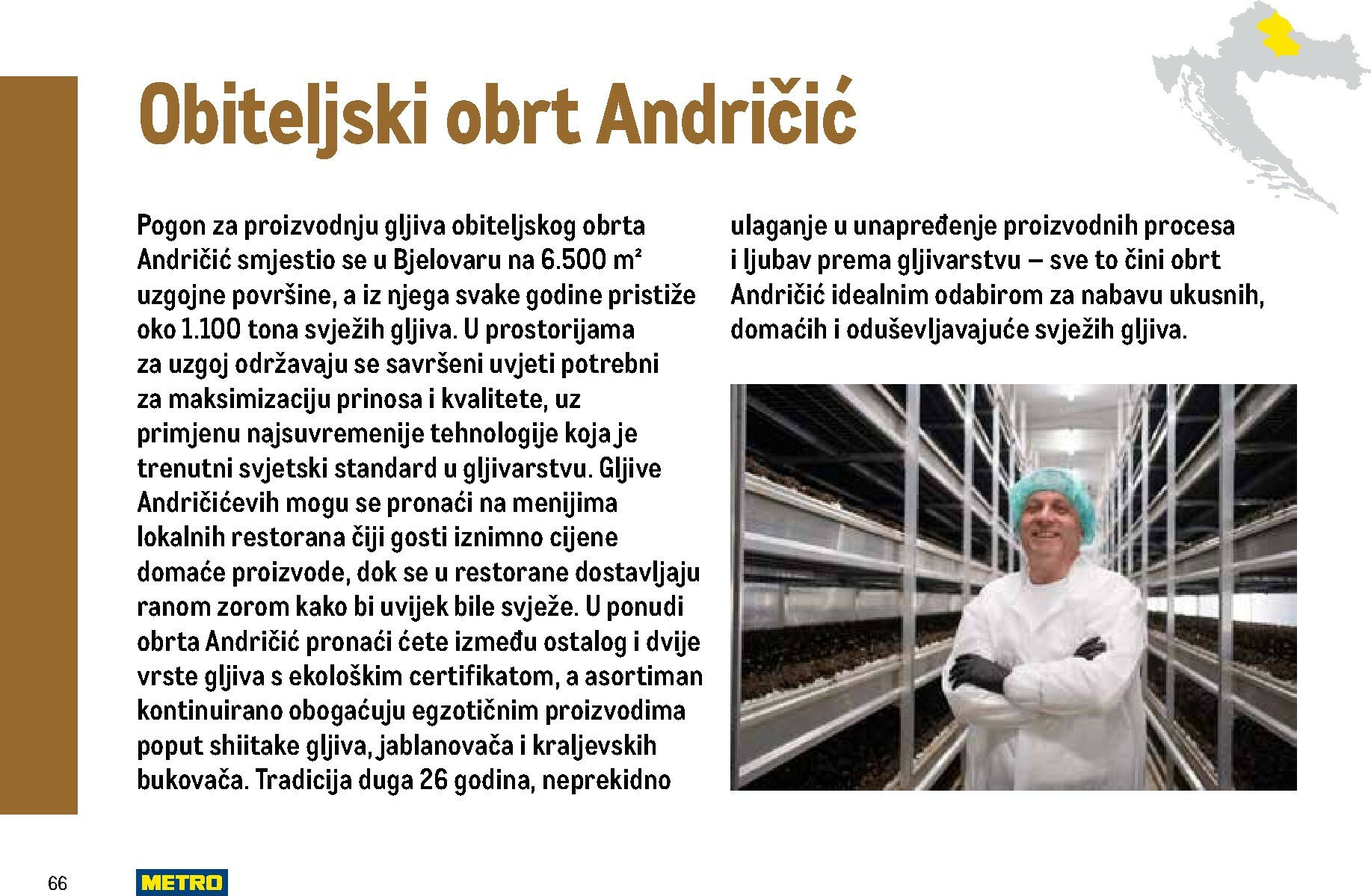 metro - Prelistajte katalog Metro - Stvoren za Hrvatski meni, vrijedi od 01.11. do 31.05. - page: 66