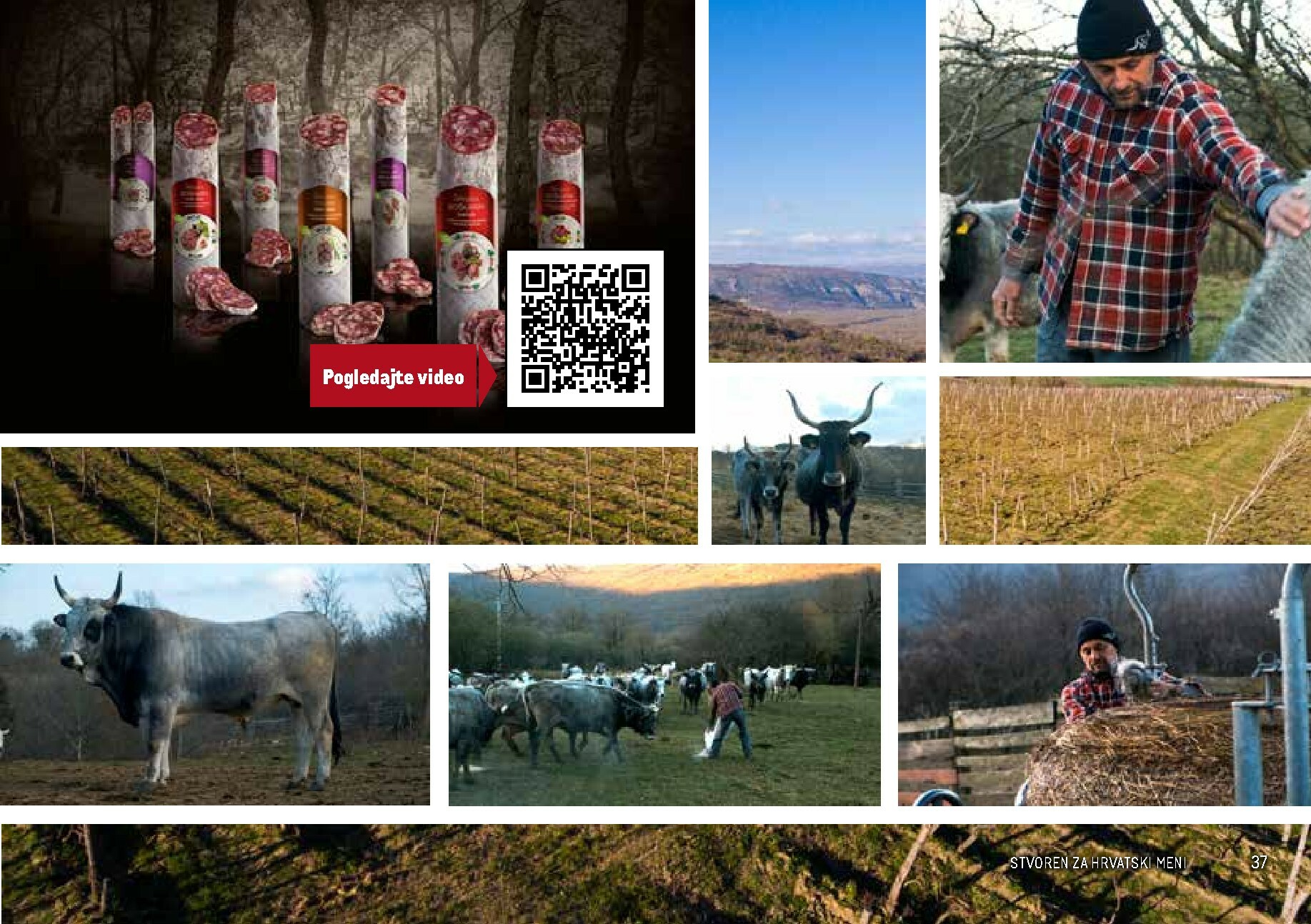 metro - Prelistajte katalog Metro - Stvoren za Hrvatski meni, vrijedi od 01.11. do 31.05. - page: 37