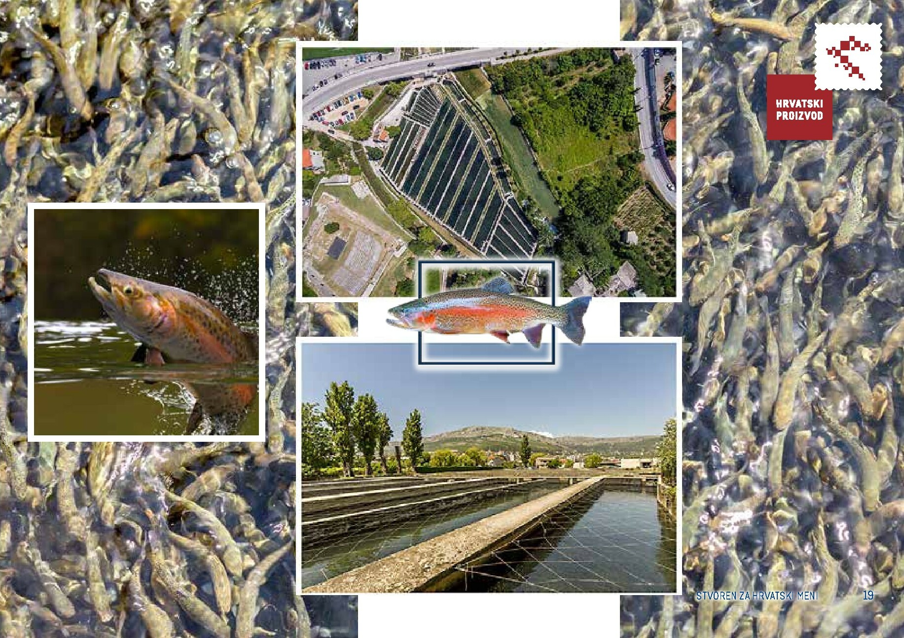 metro - Prelistajte katalog Metro - Stvoren za Hrvatski meni, vrijedi od 01.11. do 31.05. - page: 19