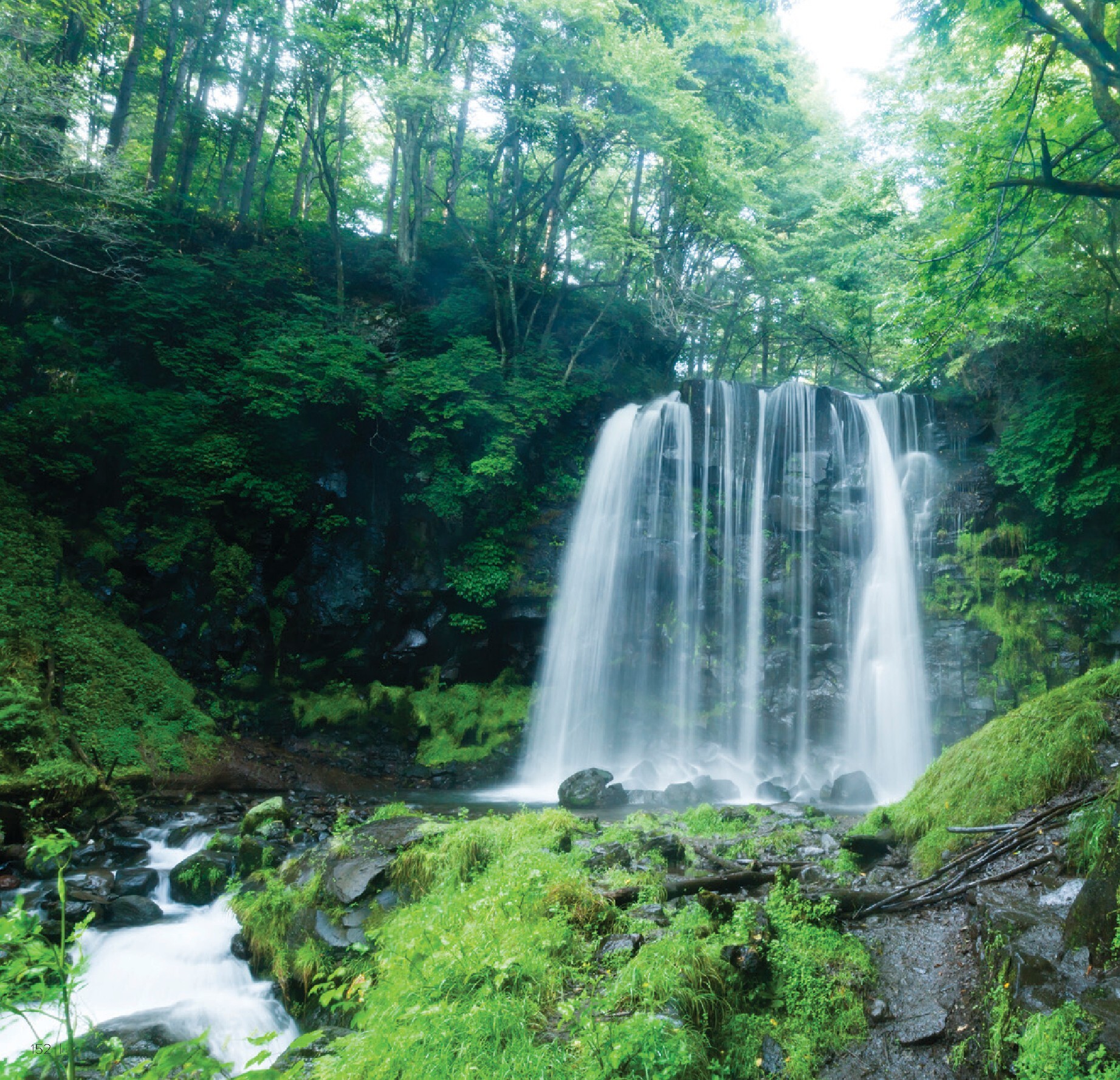 farmasi - Prelistajte katalog Farmasi, vrijedi od 01.03.2026 do 30.04.2026 - page: 152