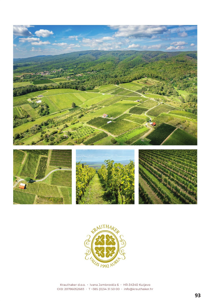 vrutak - Prelistajte katalog Vrutak - Vinski Katalog, vrijedi od 01.11. do 31.10. - page: 93