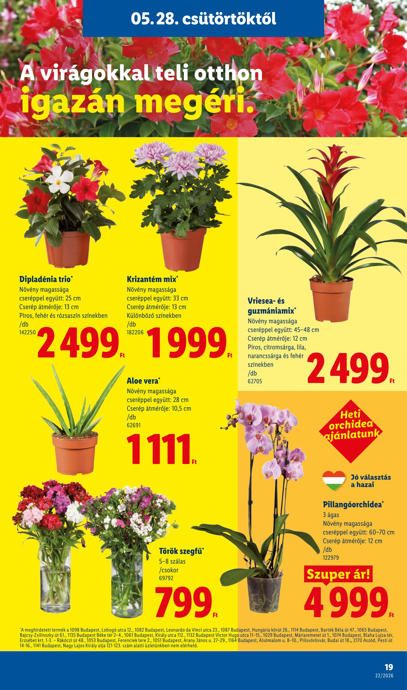 lidl - Lidl hirdetmény a következő hétre csütörtöktől 2026.05.28.-tól szerdától 2026.06.03.-ig - page: 19