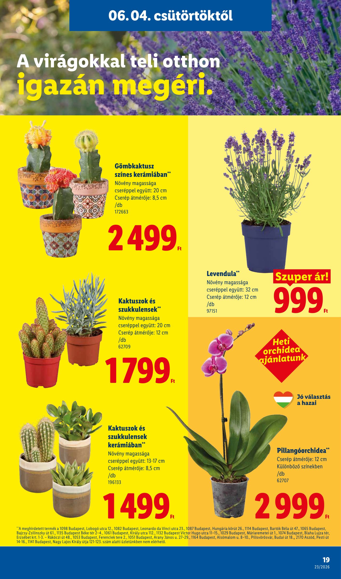 lidl - Lidl hirdetmény a következő hétre csütörtöktől 2026.06.04.-tól szerdától 2026.06.10.-ig - page: 19