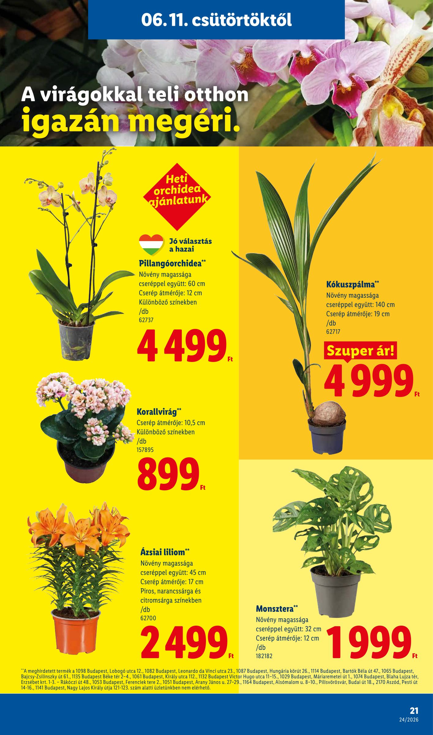 lidl - Aktuális Lidl szórólap érvényes csütörtöktől 2026.06.11.-től szerdától 2026.06.17.-ig - page: 21