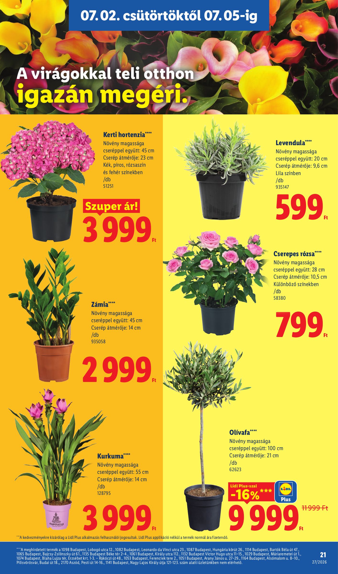 lidl - Lidl hirdetmény a következő hétre csütörtöktől 2026.07.02.-tól szerdától 2026.07.08.-ig - page: 21
