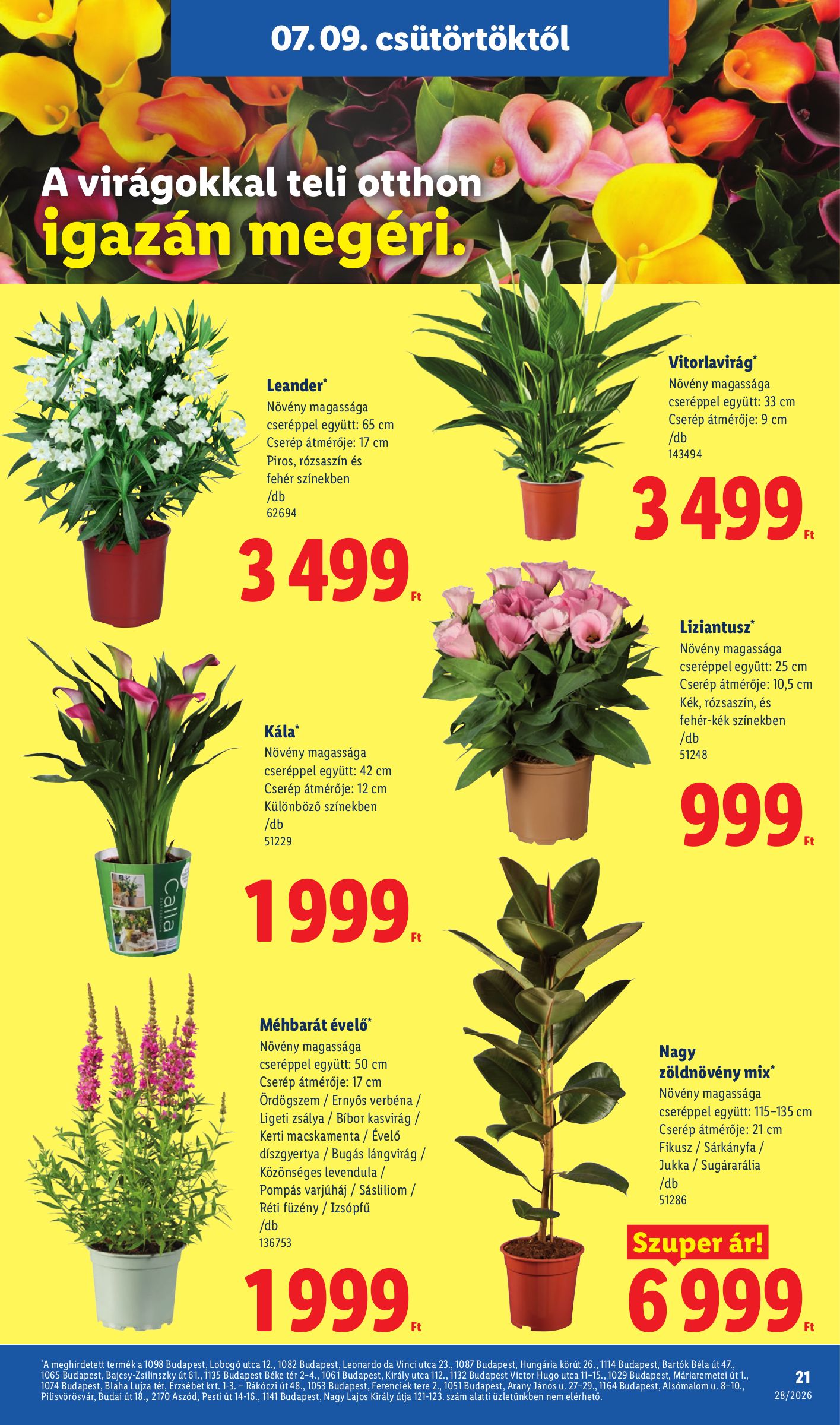 lidl - Lidl hirdetmény a következő hétre csütörtöktől 2026.07.09.-tól szerdától 2026.07.15.-ig - page: 21