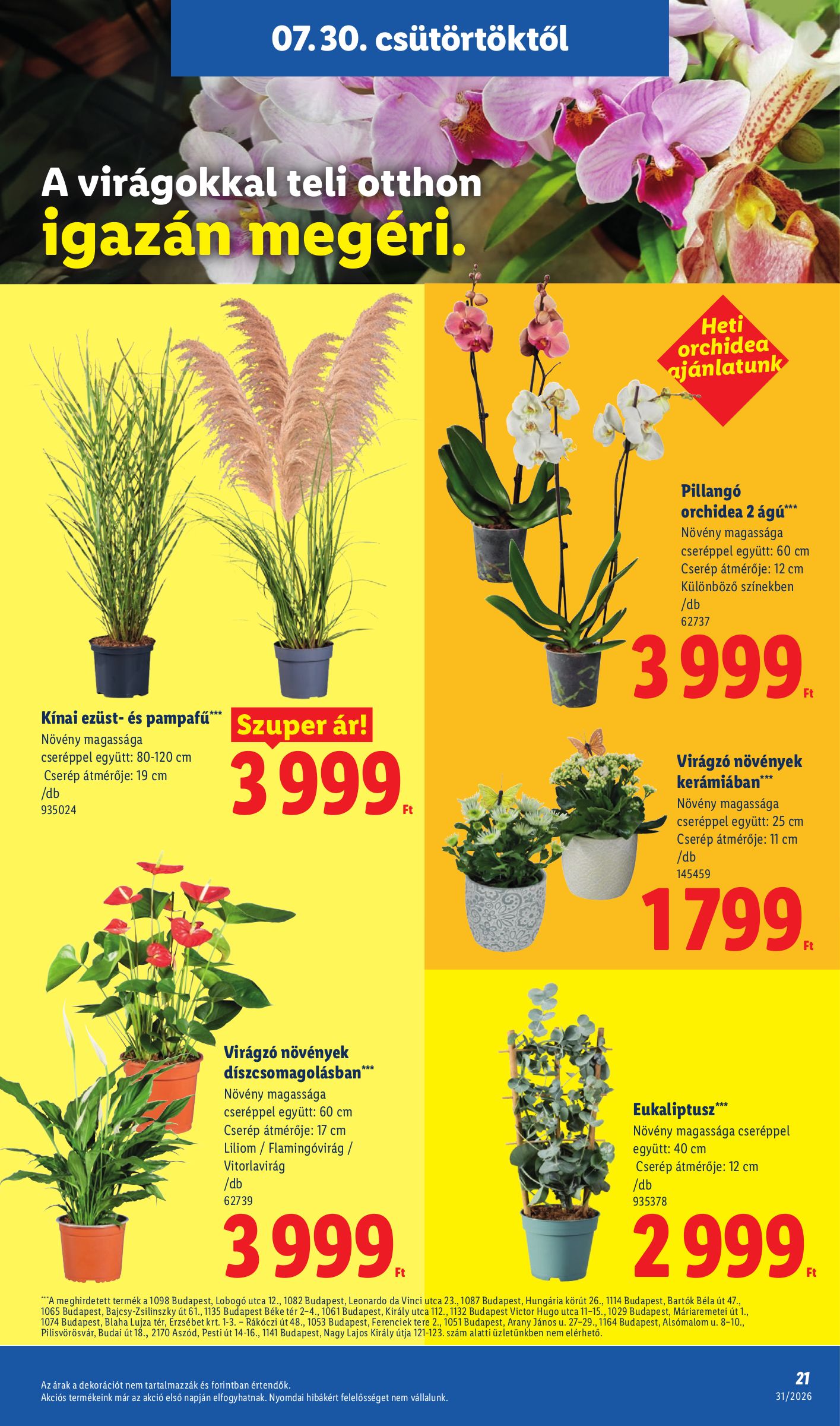 lidl - Aktuális Lidl szórólap érvényes csütörtöktől 2026.07.30.-től szerdától 2026.08.05.-ig - page: 21
