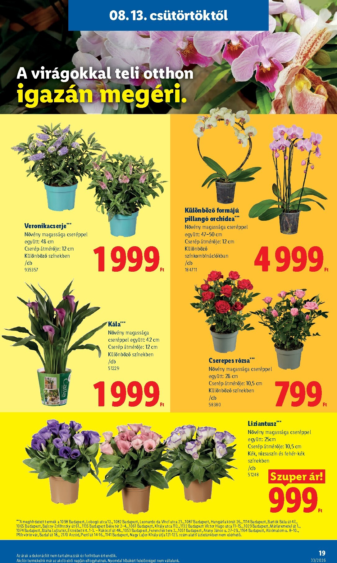 lidl - Lidl hirdetmény a következő hétre csütörtöktől 2026.08.13.-tól keddtől 2026.08.18.-ig - page: 19