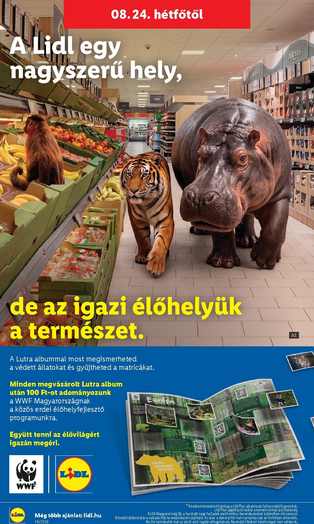 lidl - Lidl - Nonfood hirdetmény a következő hétre szerdától 2026.08.19.-tól szerdától 2026.08.26.-ig - page: 28