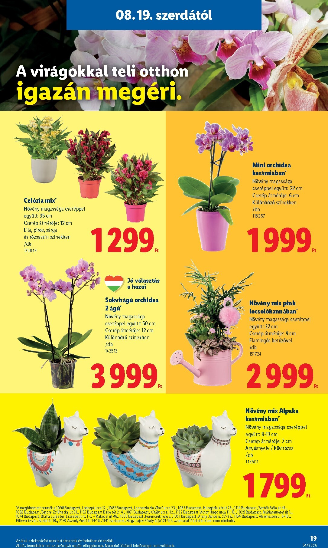 lidl - A jövőbeli Lidl akciós újság szerdától 2026.08.19.-tól szerdától 2026.08.26.-ig érvényes. - page: 19