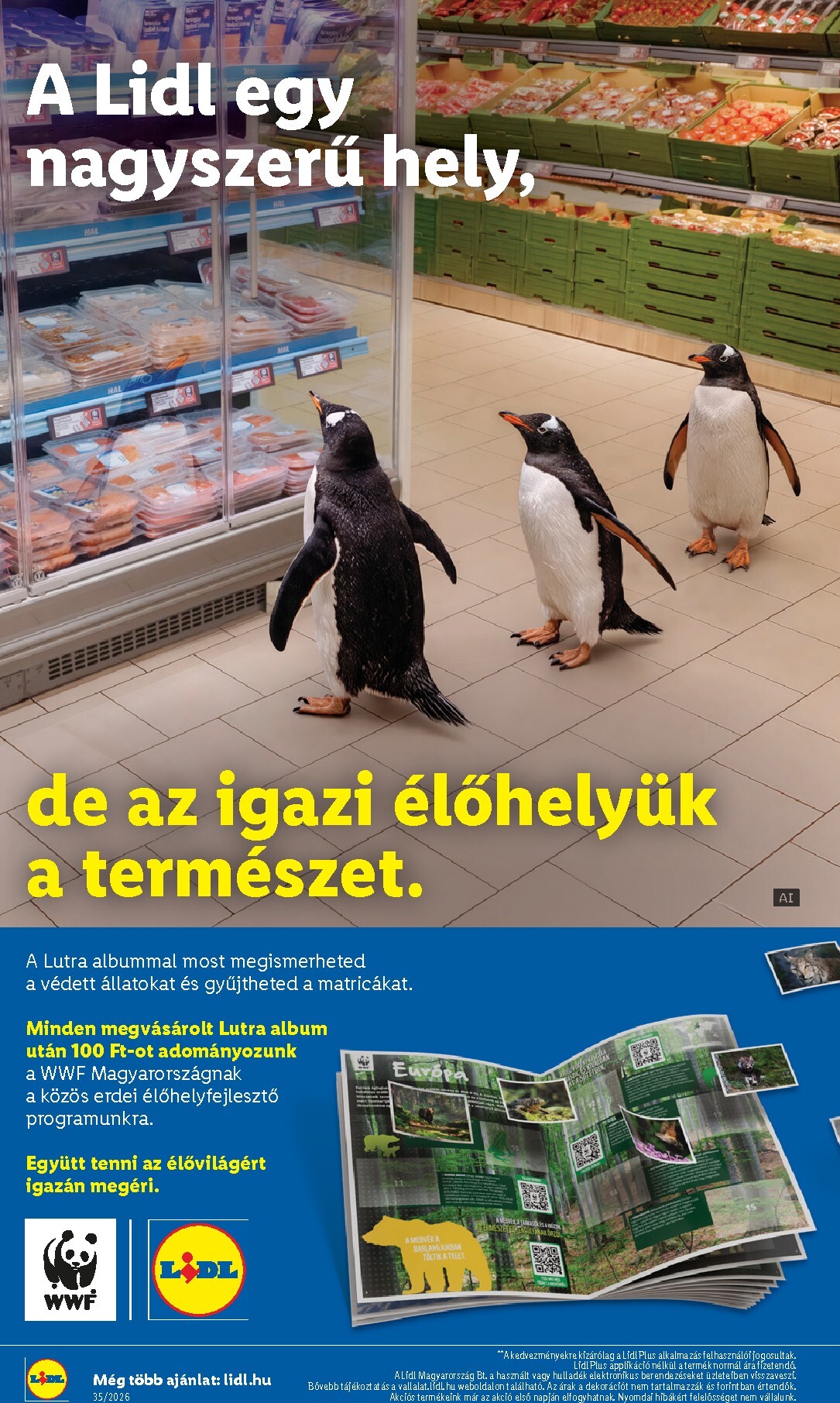 lidl - Lidl - Nonfood hirdetmény a következő hétre csütörtöktől 2026.08.27.-tól szerdától 2026.09.02.-ig - page: 2