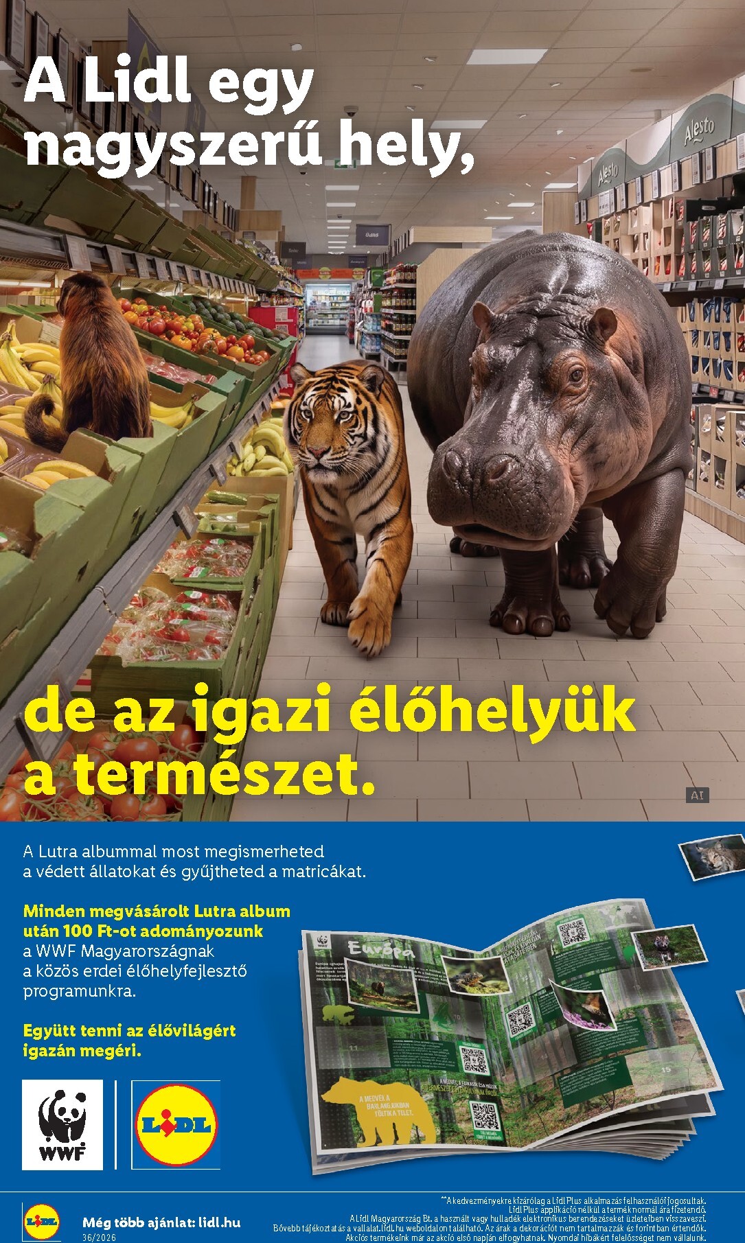 lidl - Lidl hirdetmény a következő hétre csütörtöktől 2026.09.03.-tól szerdától 2026.09.09.-ig - page: 18