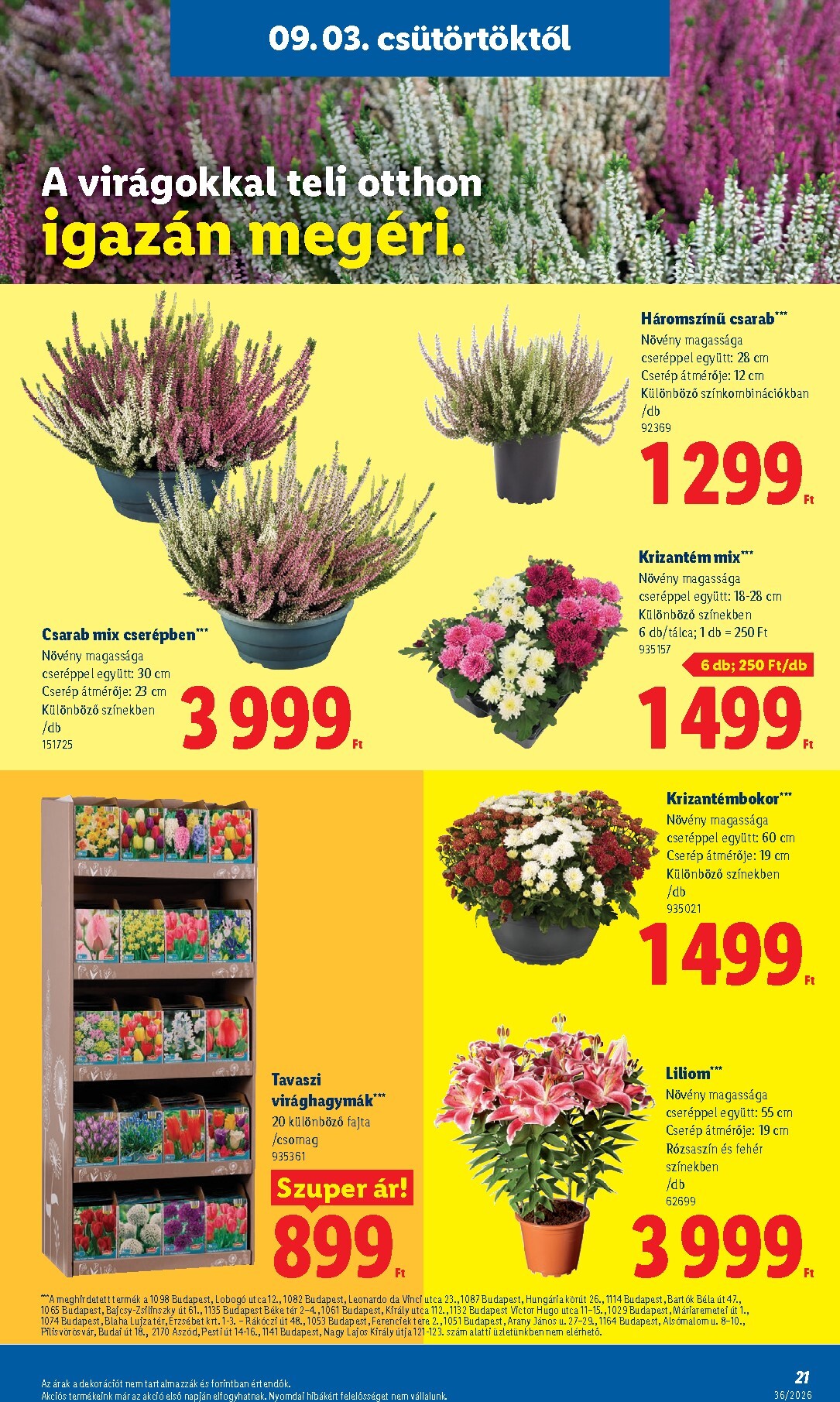 lidl - Lidl hirdetmény a következő hétre csütörtöktől 2026.09.03.-tól szerdától 2026.09.09.-ig - page: 21