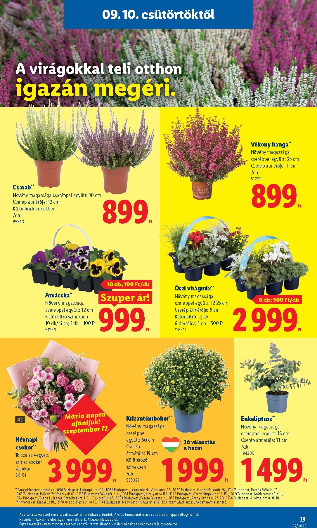 lidl - Aktuális Lidl szórólap érvényes csütörtöktől 2026.09.10.-től szerdától 2026.09.16.-ig - page: 19