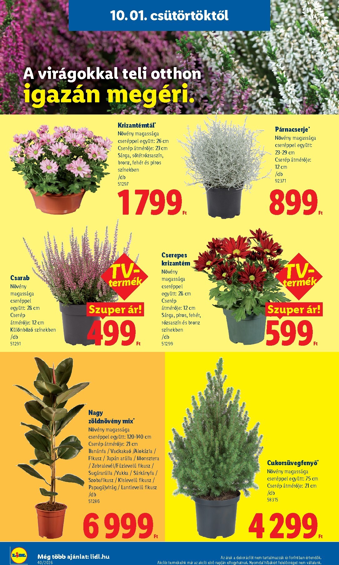 lidl - Lidl hirdetmény a következő hétre csütörtöktől 2026.10.01.-tól szerdától 2026.10.07.-ig - page: 26