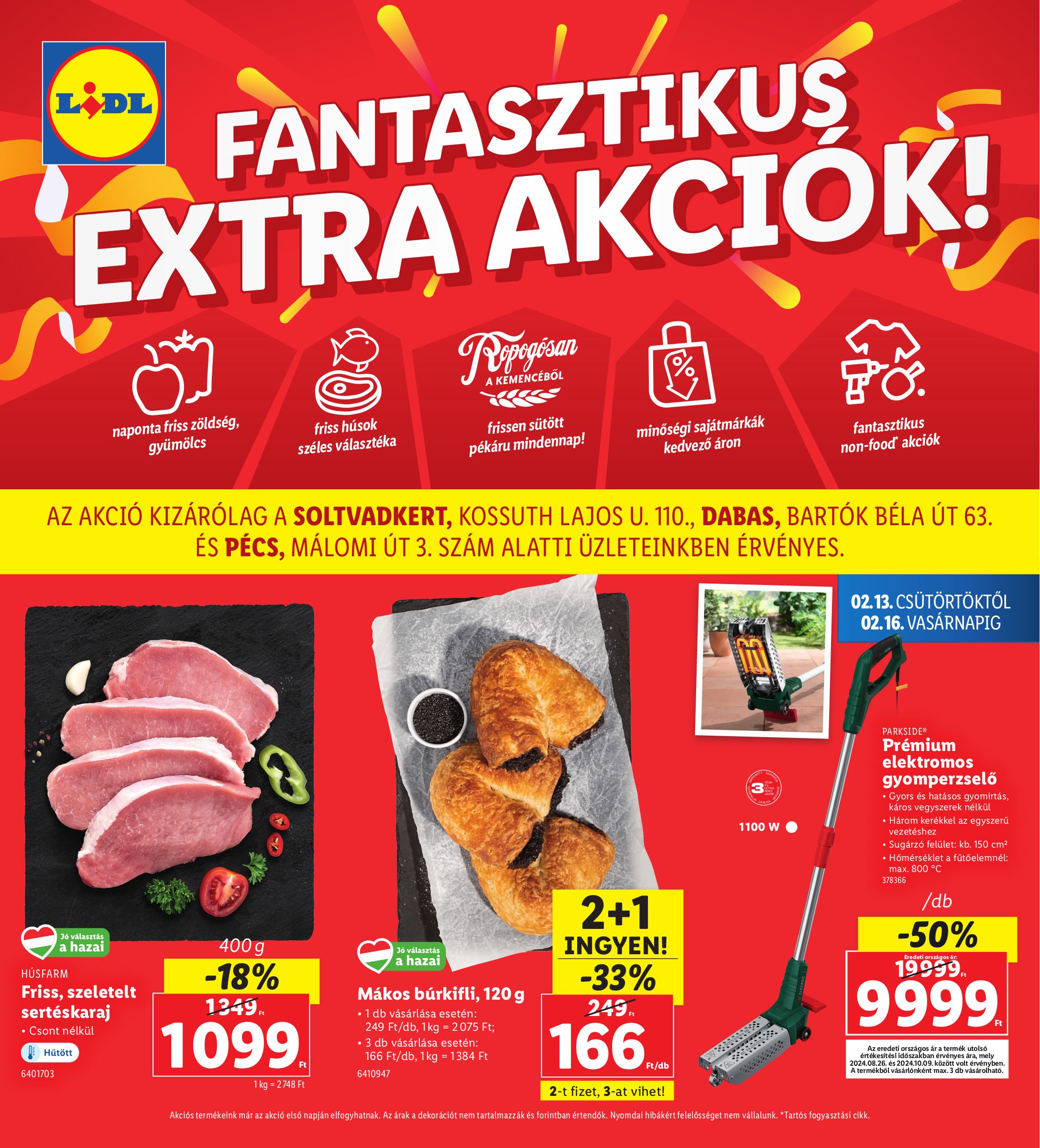 lidl - Lidl - Soltvadkert, Dabas, Pécs akciós újság, érvényes 02.13. - 02.16.