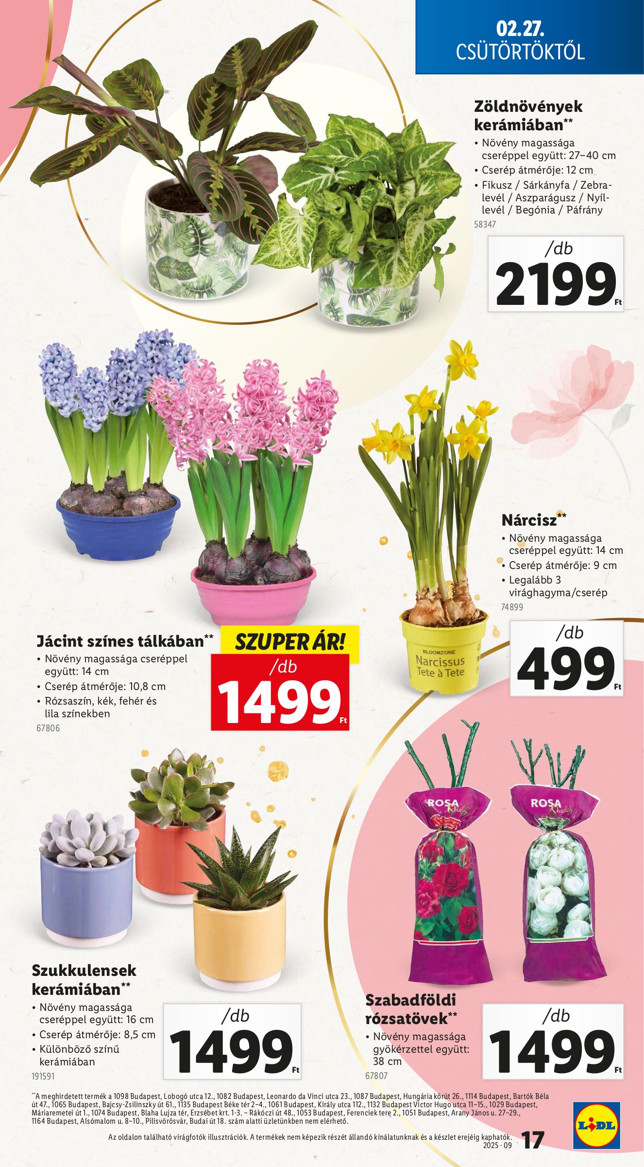 lidl - Lidl akciós újság, érvényes 02.27. - 03.05. - page: 17