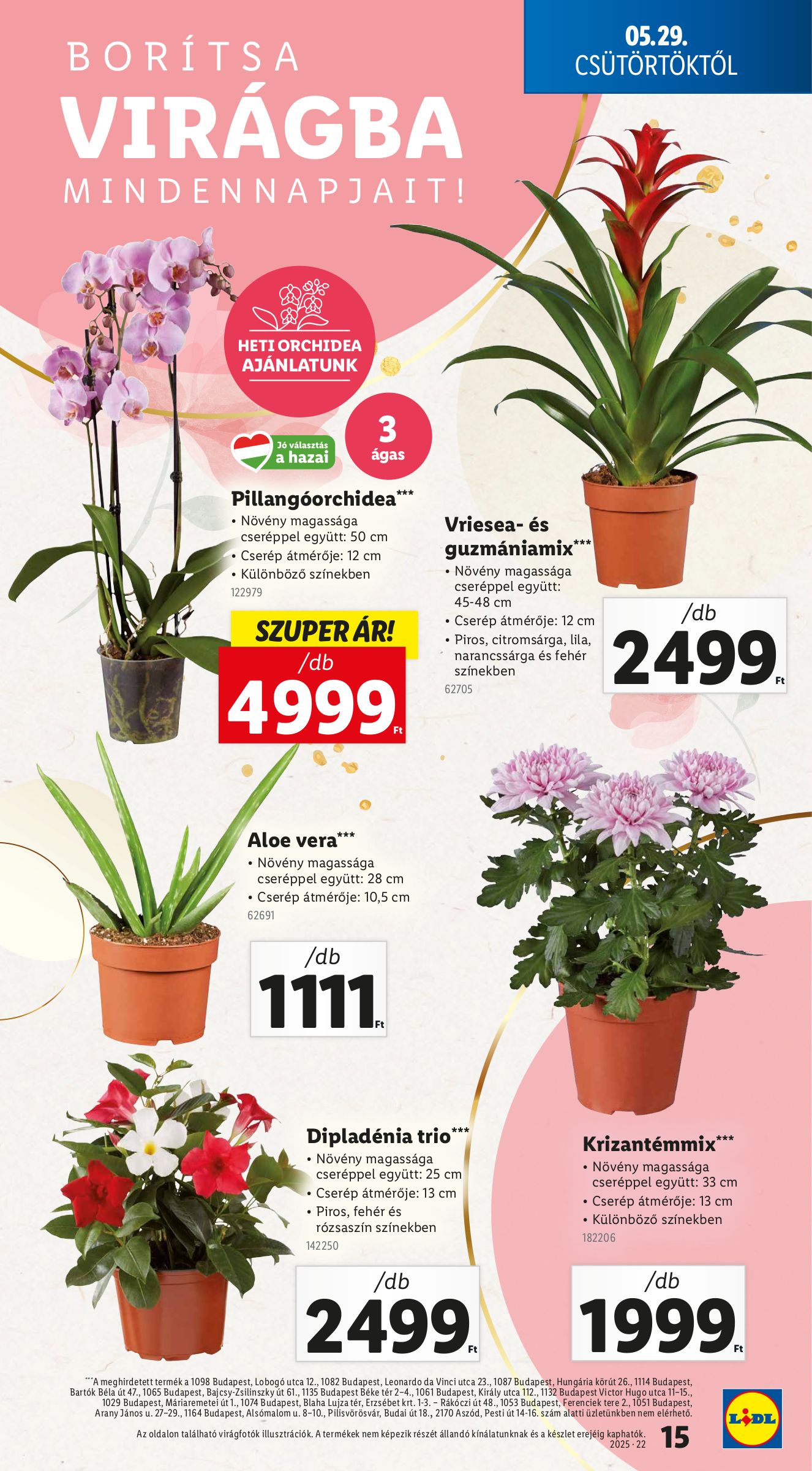 lidl - Lidl akciós újság, érvényes 05.29. - 06.04. - page: 15 lidl - Lidl akciós újság, érvényes 05.29. - 06.04. - page: 15