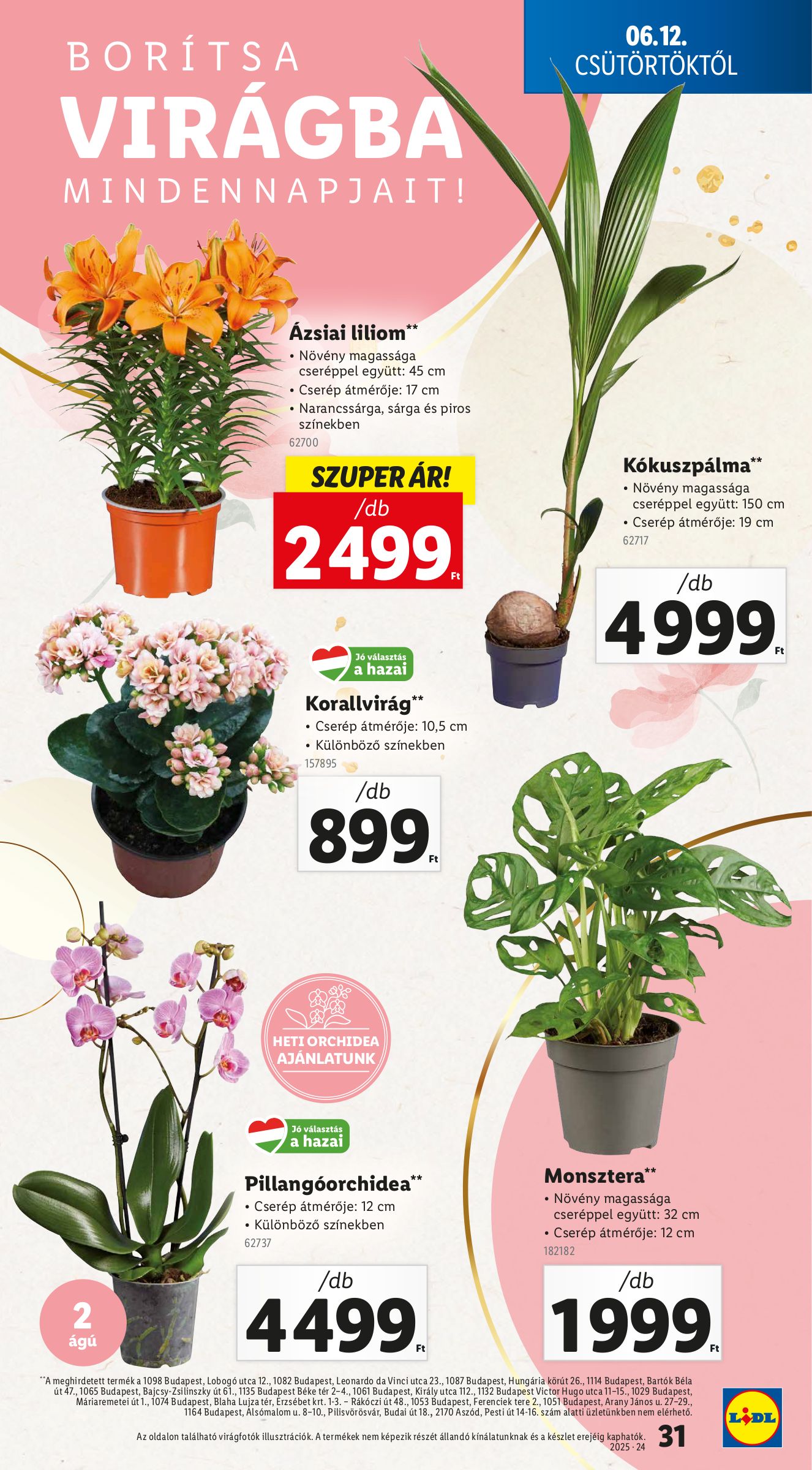 lidl - Lidl akciós újság, érvényes 06.12. - 06.18. - page: 31