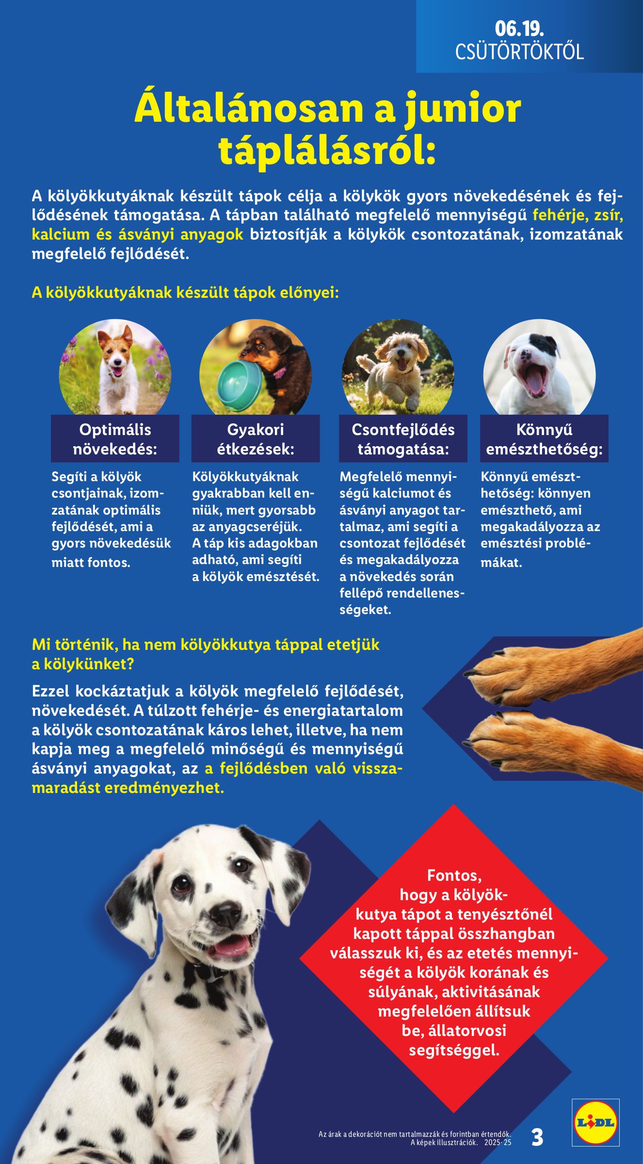 lidl - Lidl - Kedvenceink Kedvencei akciós újság, érvényes 06.19. - 06.25. - page: 3