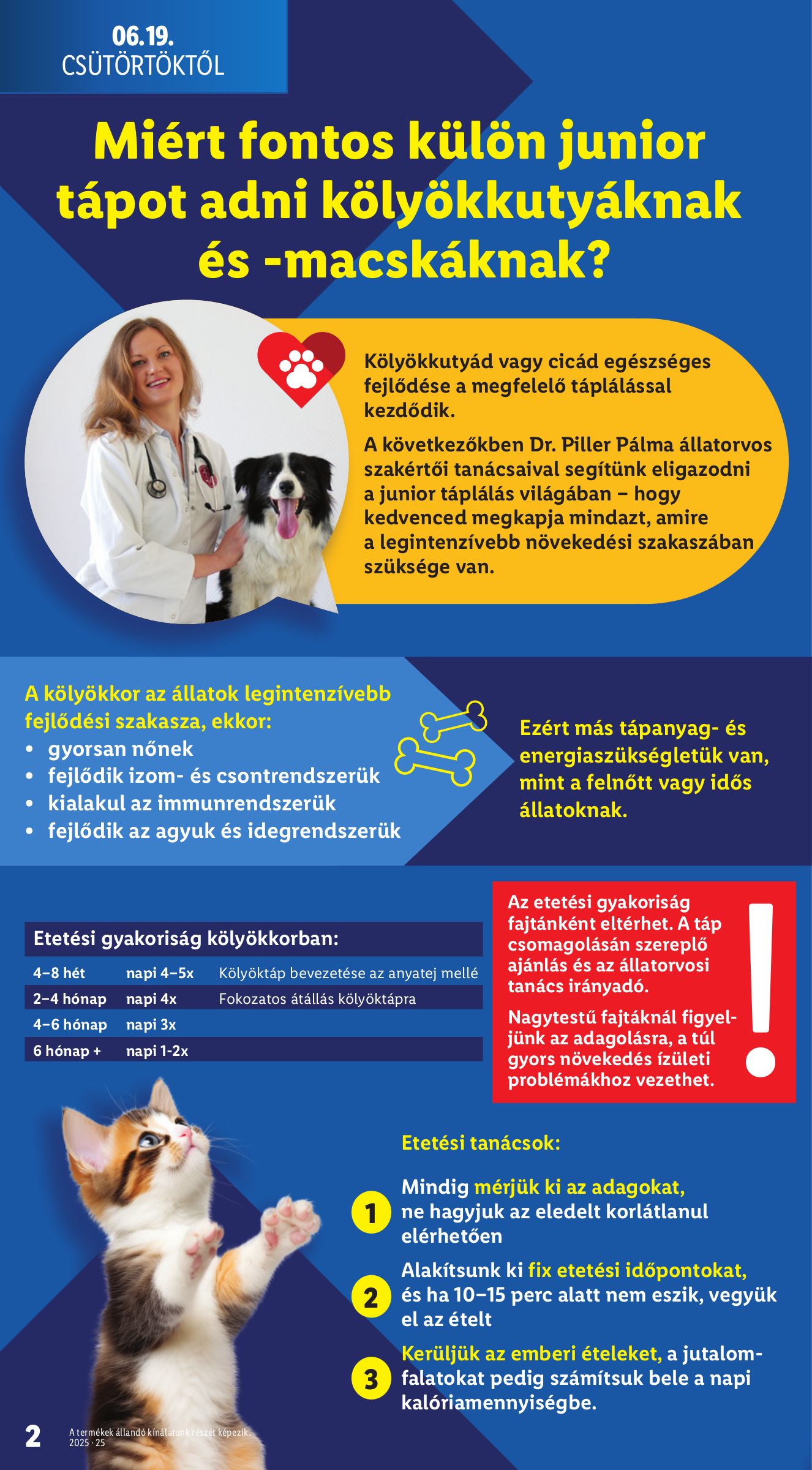 lidl - Lidl - Kedvenceink Kedvencei akciós újság, érvényes 06.19. - 06.25. - page: 2