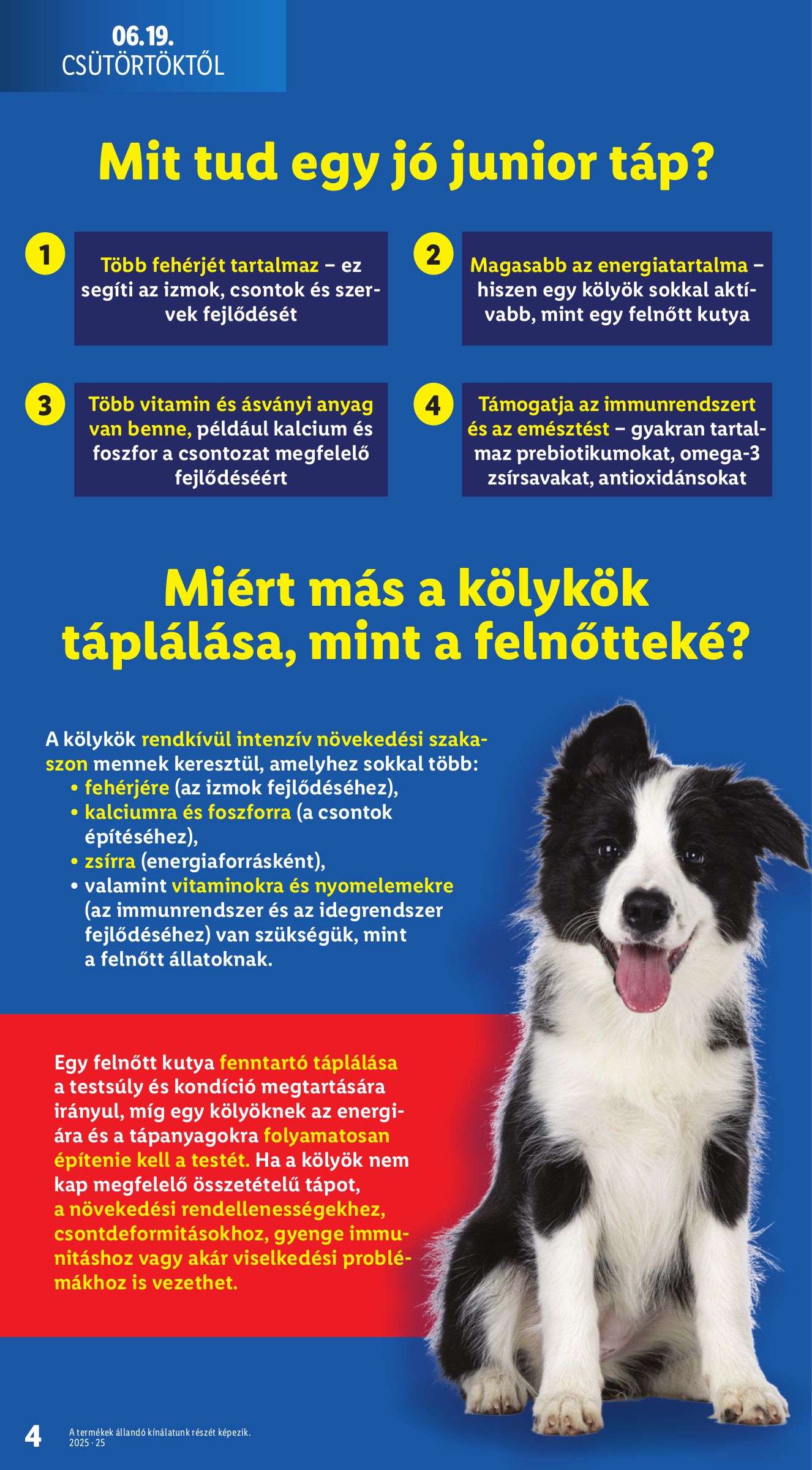 lidl - Lidl - Kedvenceink Kedvencei akciós újság, érvényes 06.19. - 06.25. - page: 4